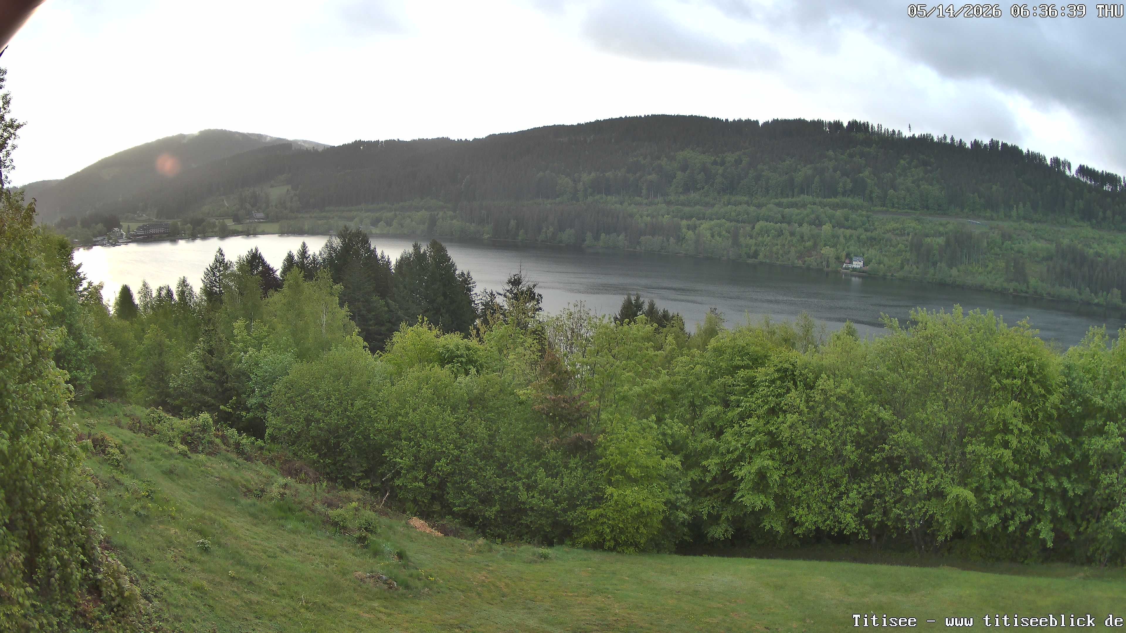 Archiv Foto Webcam Titisee: Westufer