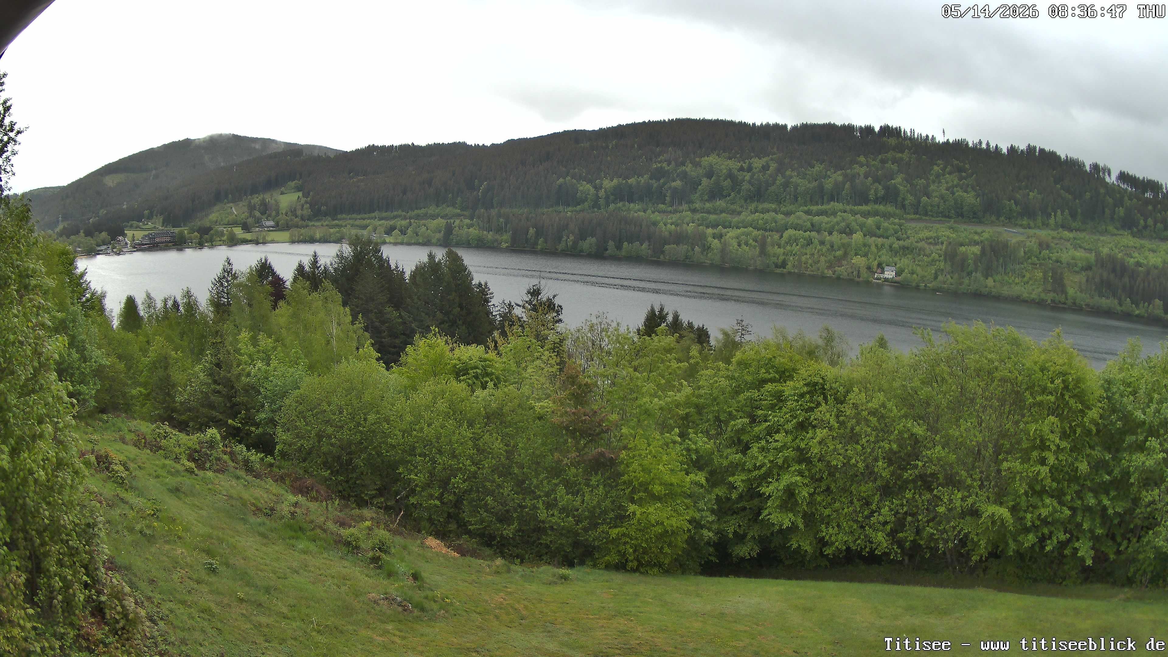 Archiv Foto Webcam Titisee: Westufer