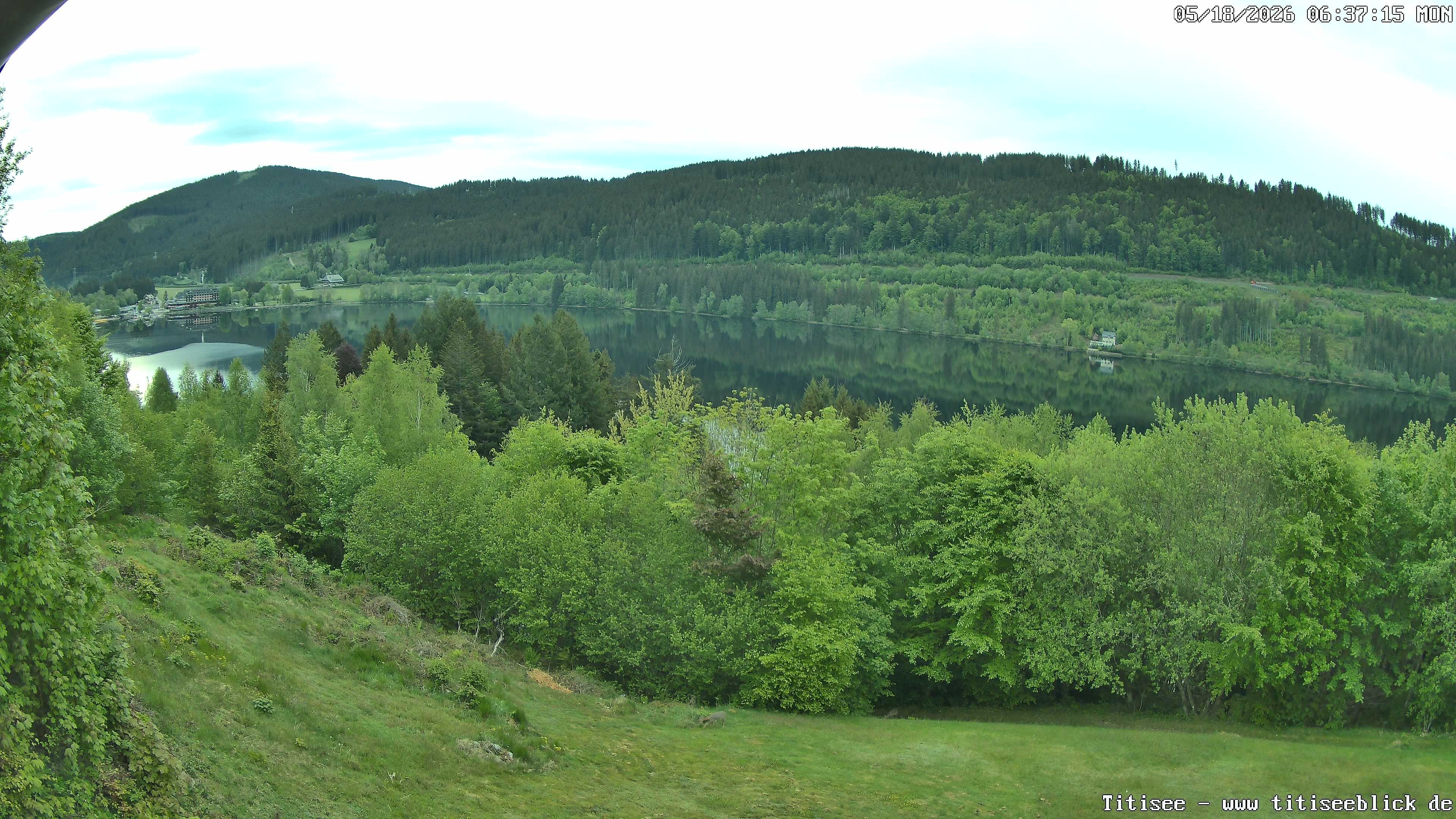 Archiv Foto Webcam Titisee: Westufer