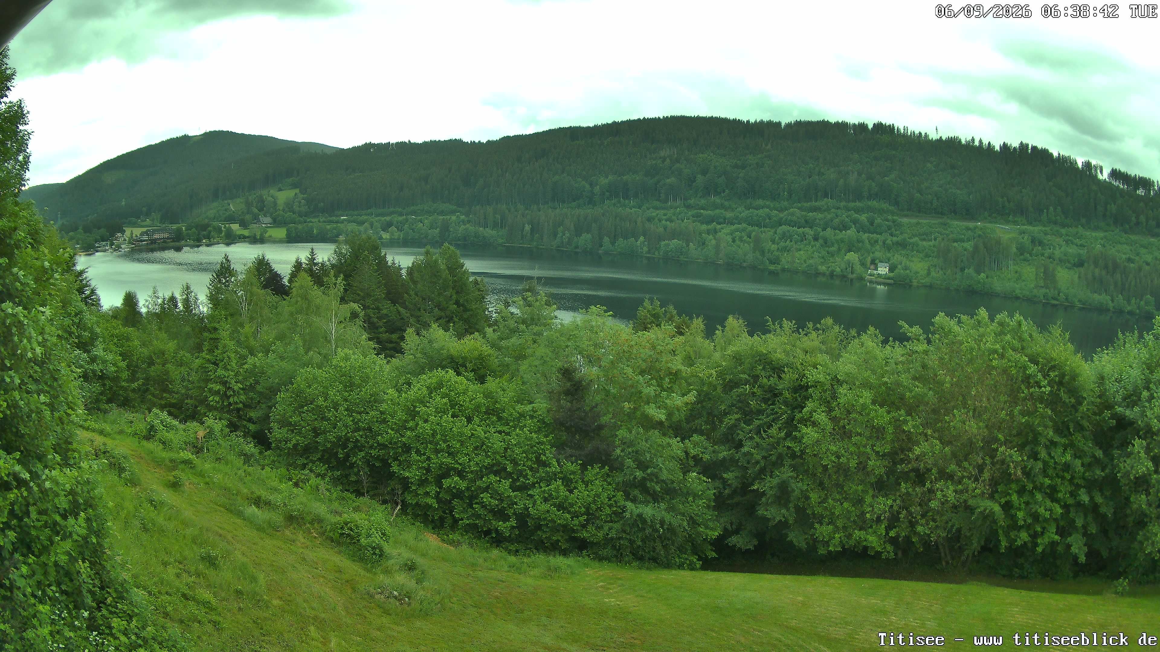 Archived image Webcam View of Lake Titisee