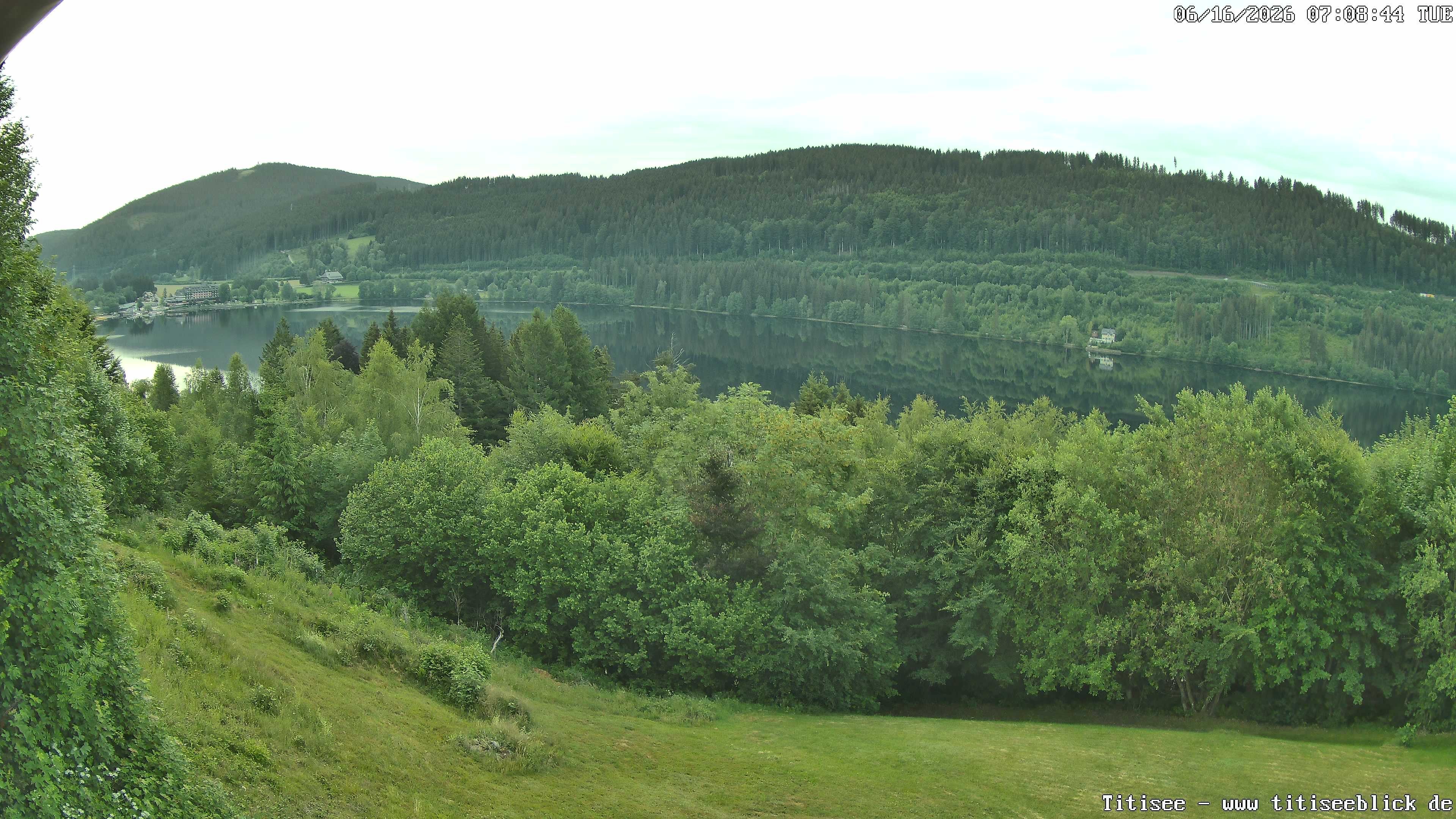 Archiv Foto Webcam Titisee: Westufer