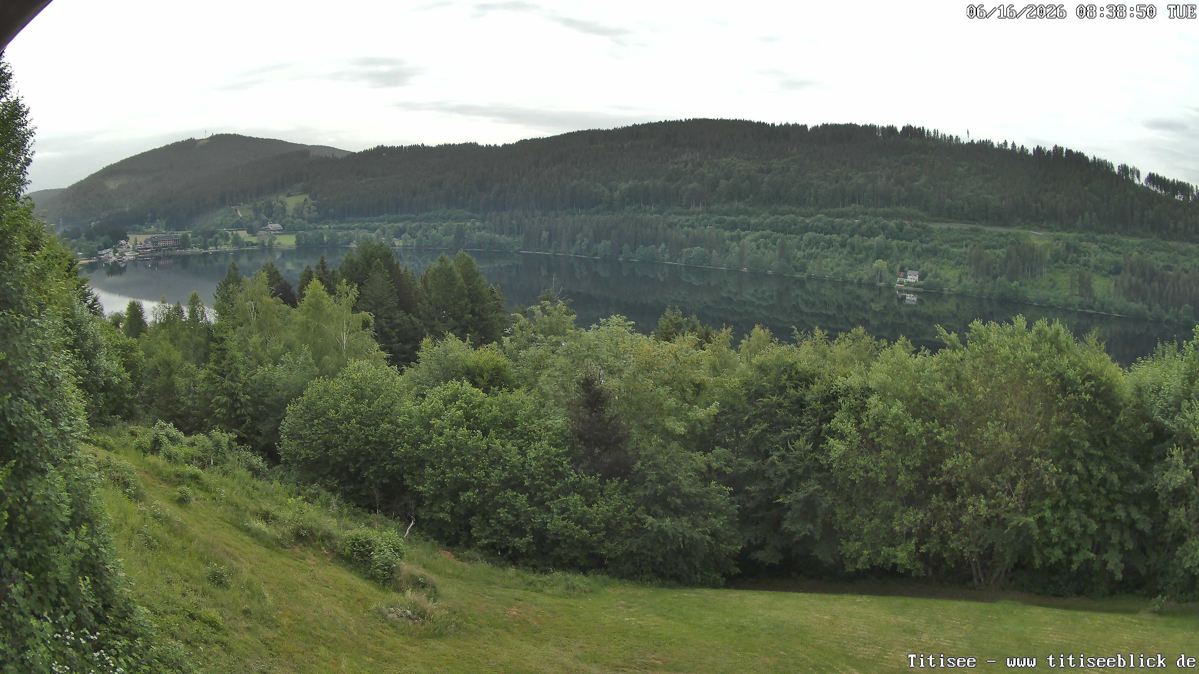 Archiv Foto Webcam Titisee: Westufer