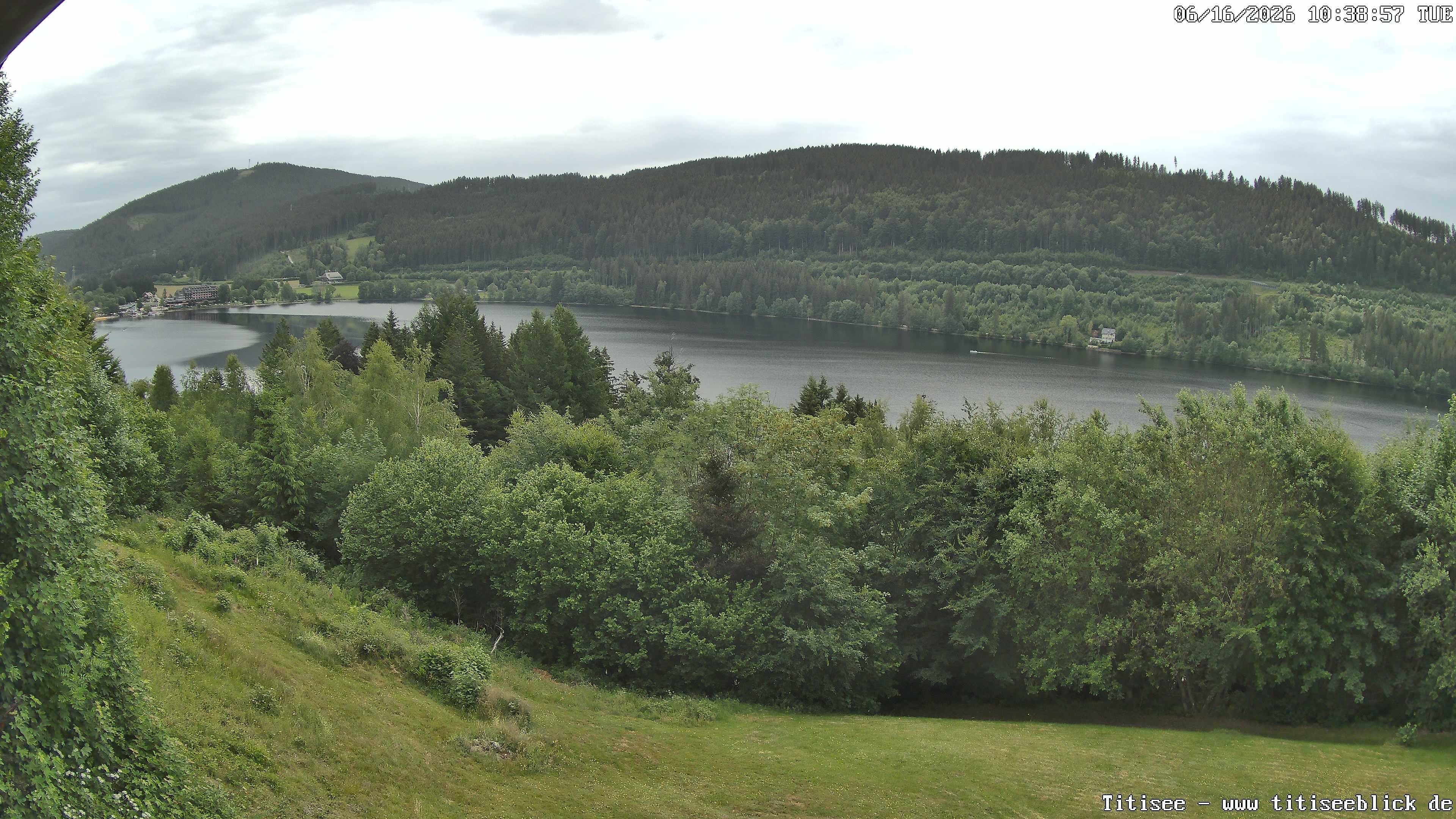 Archiv Foto Webcam Titisee: Westufer