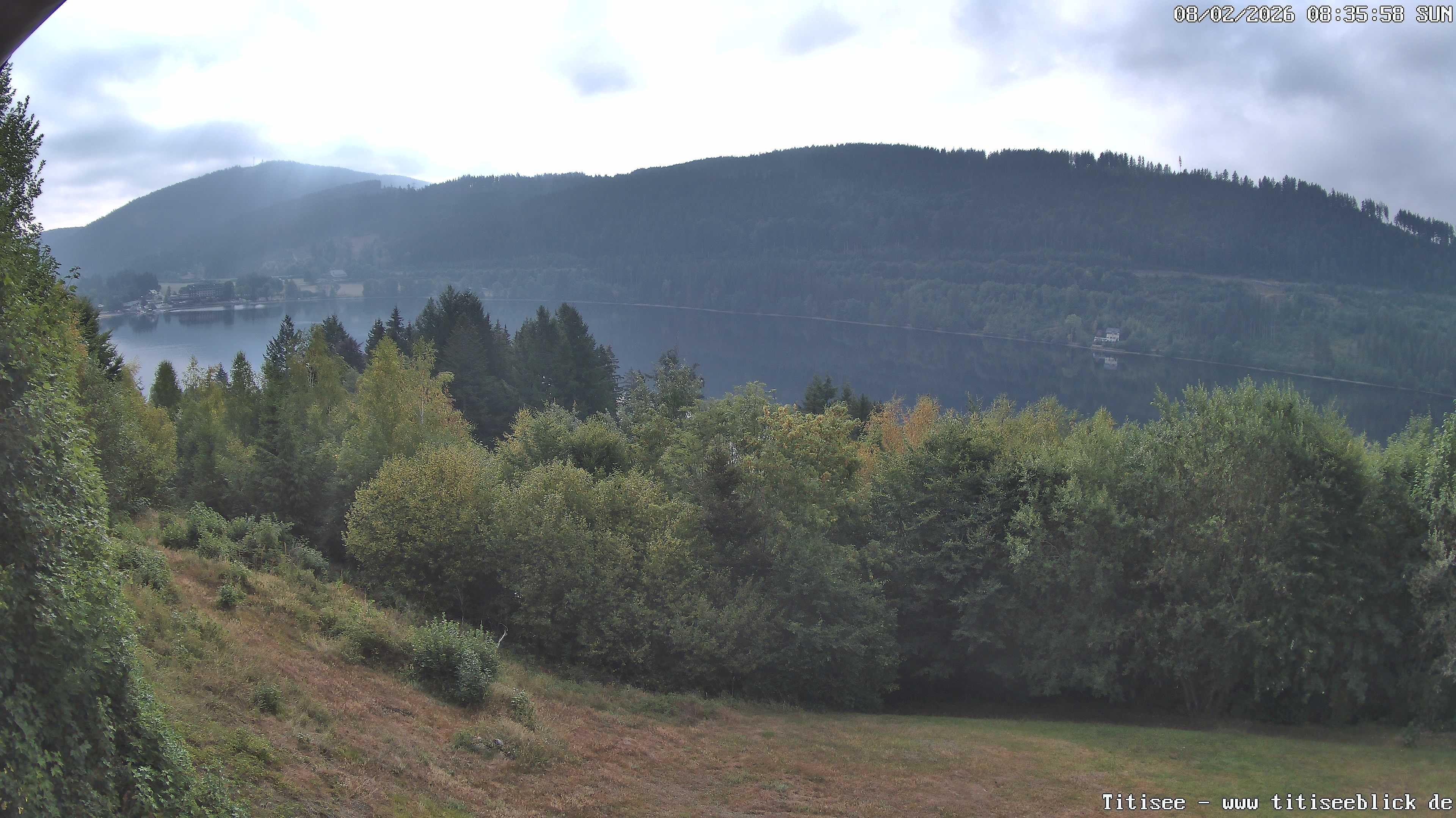 Archiv Foto Webcam Titisee: Westufer