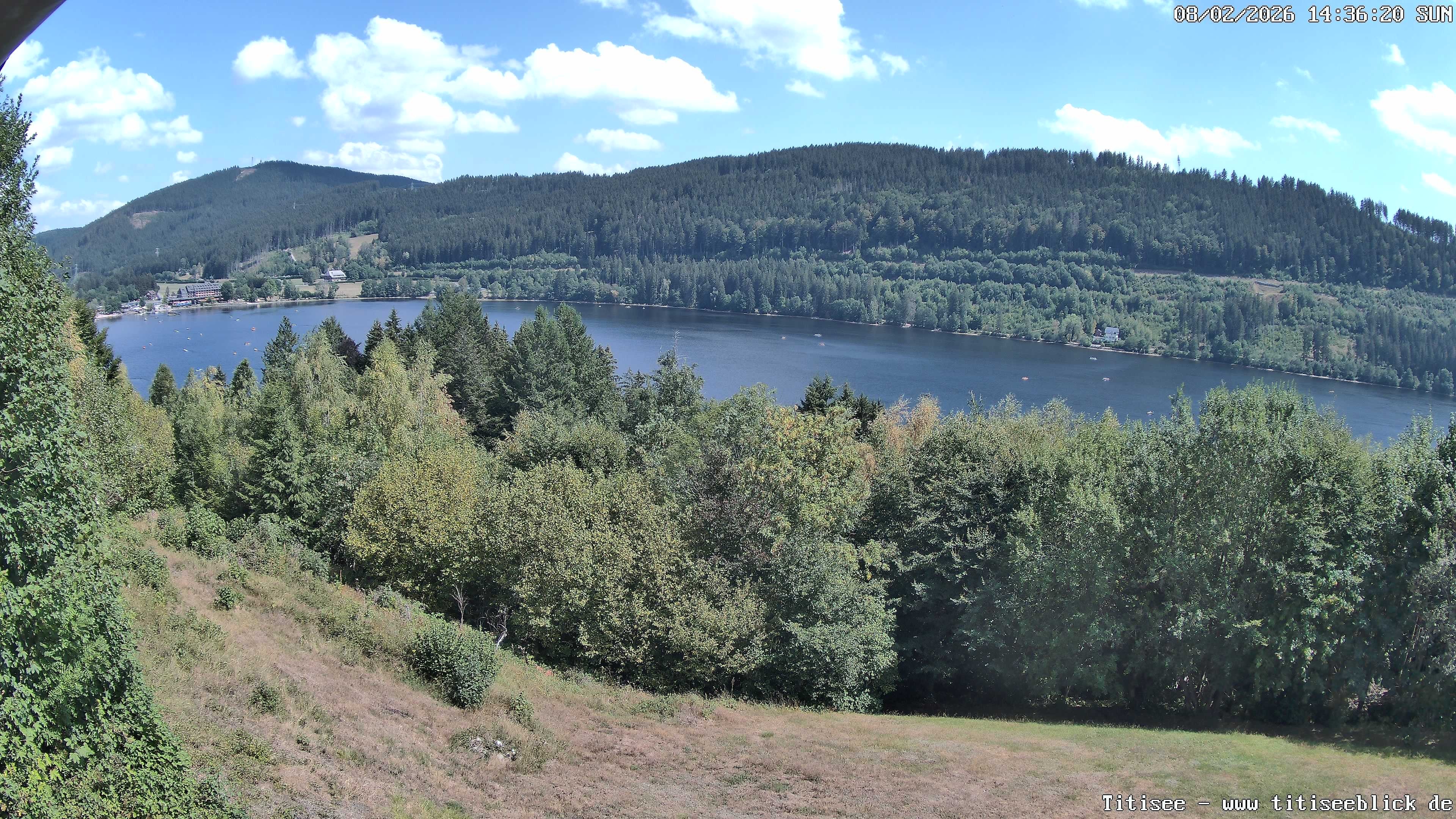 Archiv Foto Webcam Titisee: Westufer