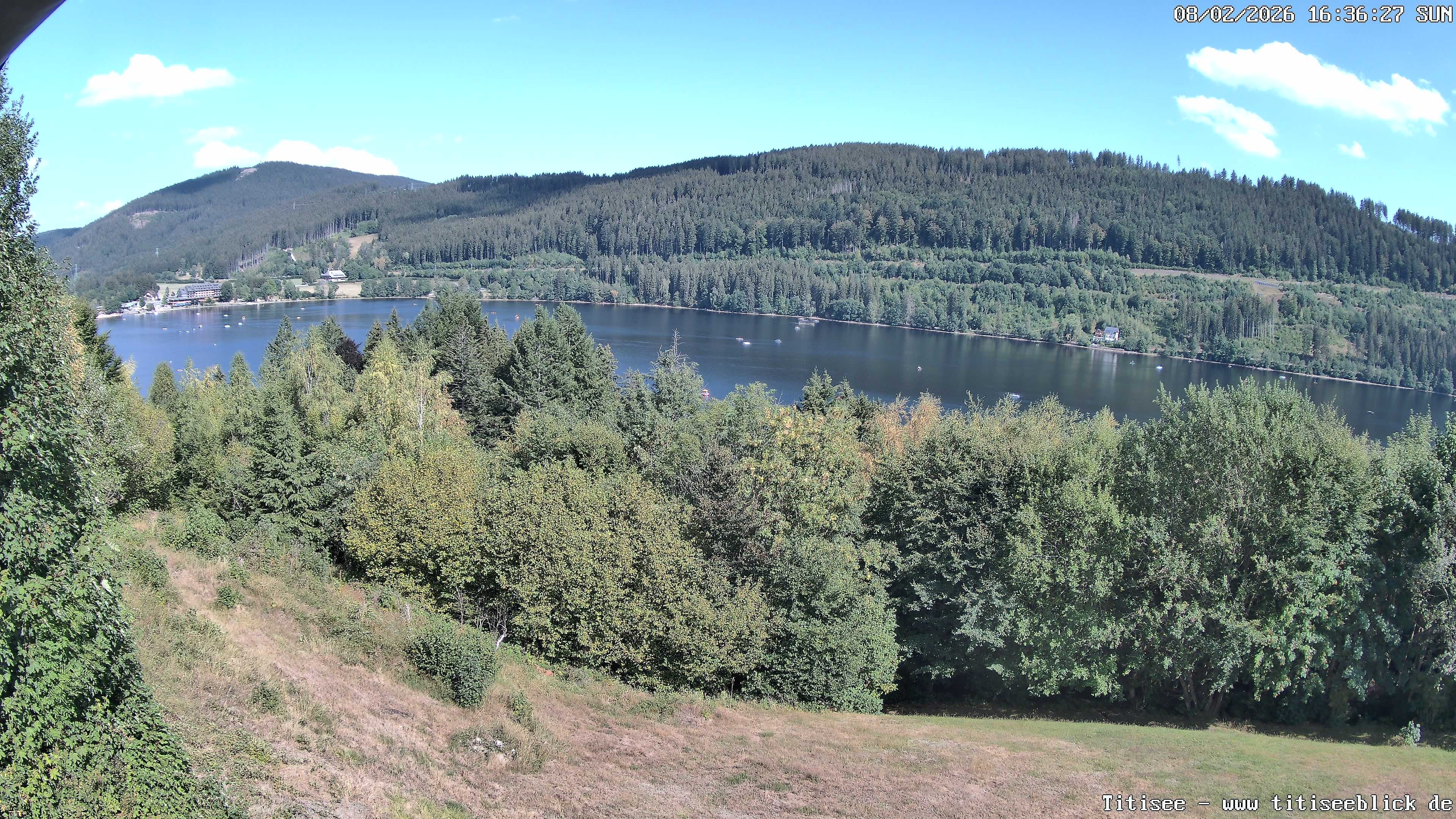 Archiv Foto Webcam Titisee: Westufer
