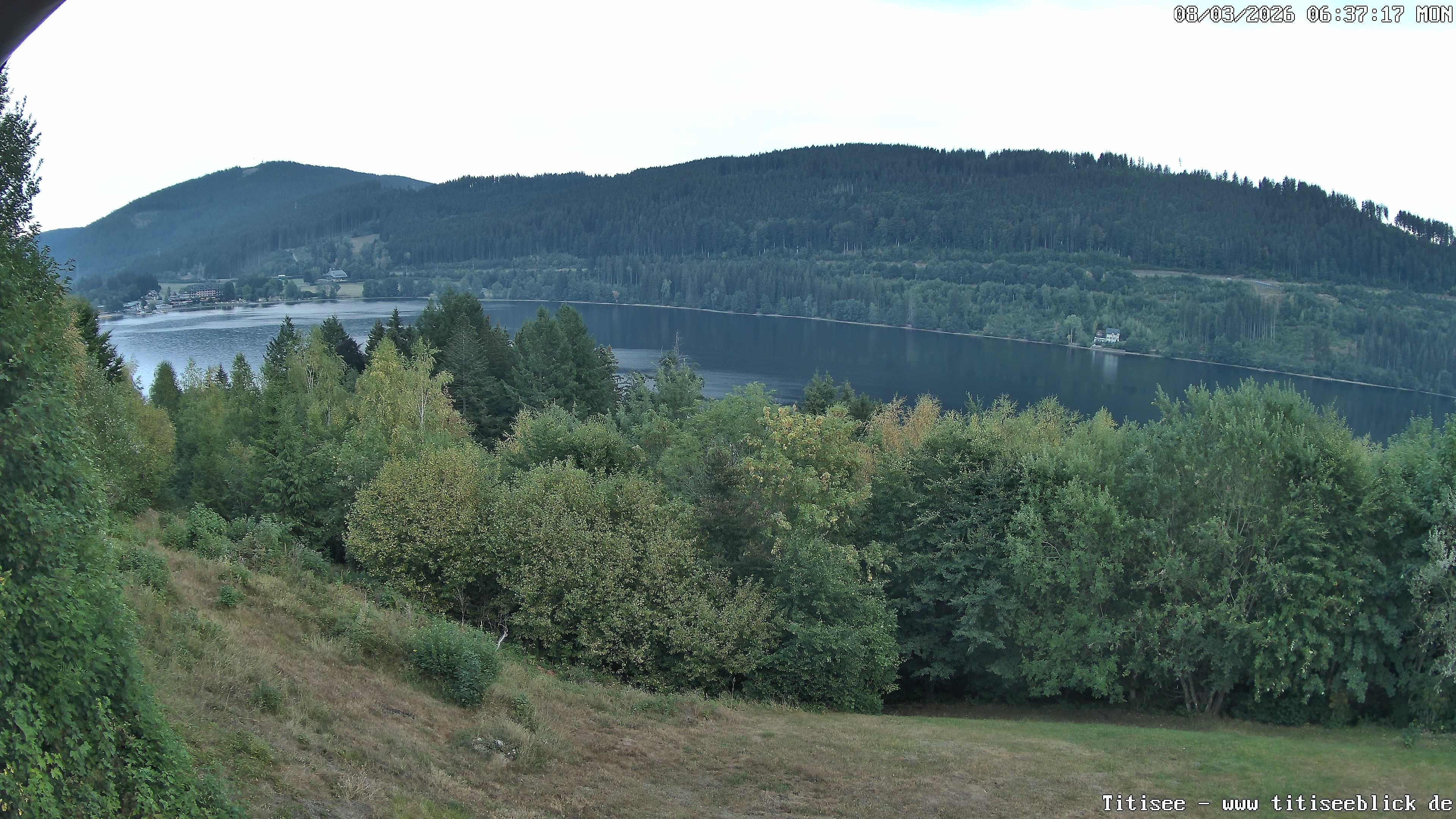 Archiv Foto Webcam Titisee: Westufer