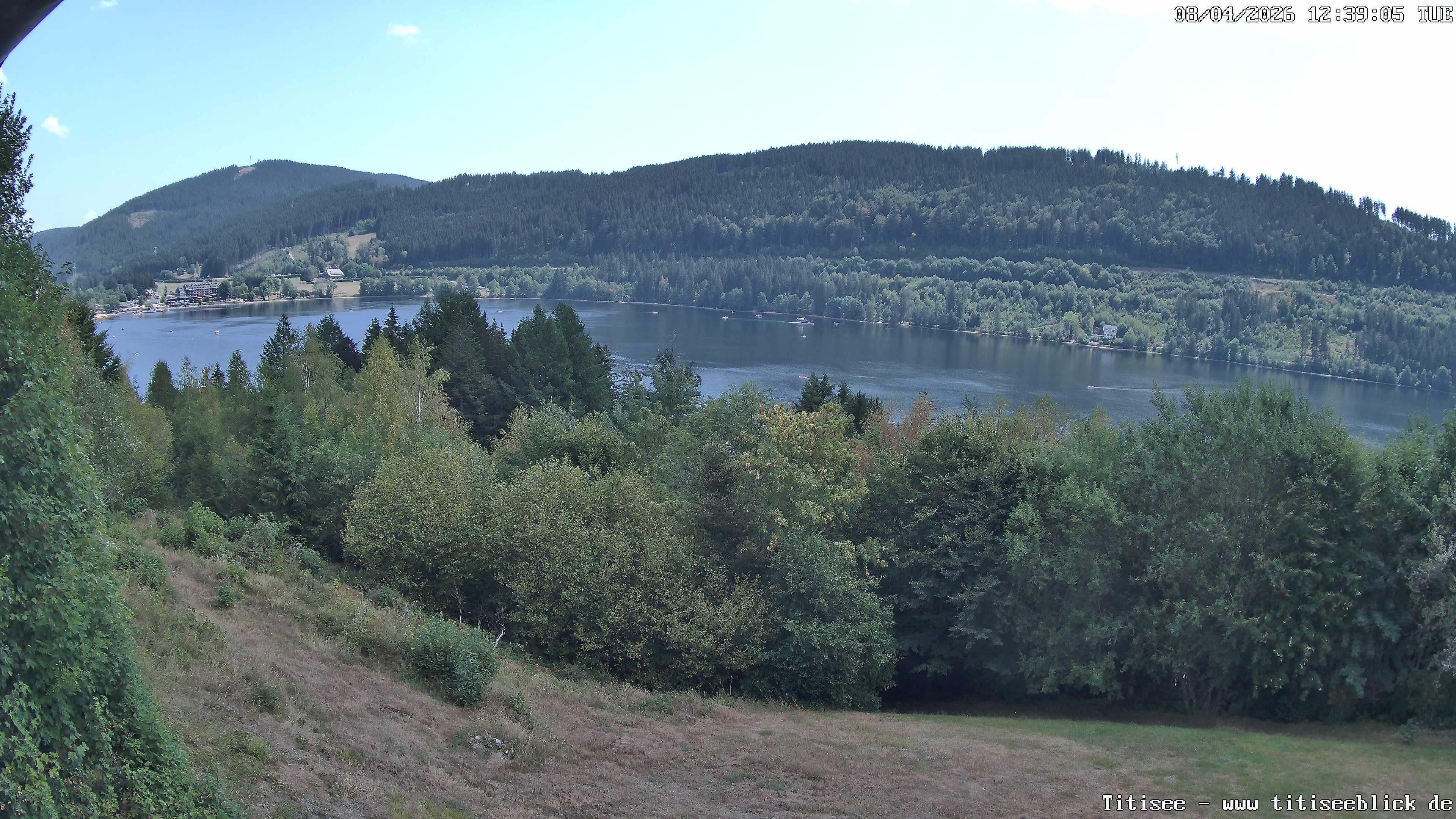 Archiv Foto Webcam Titisee: Westufer