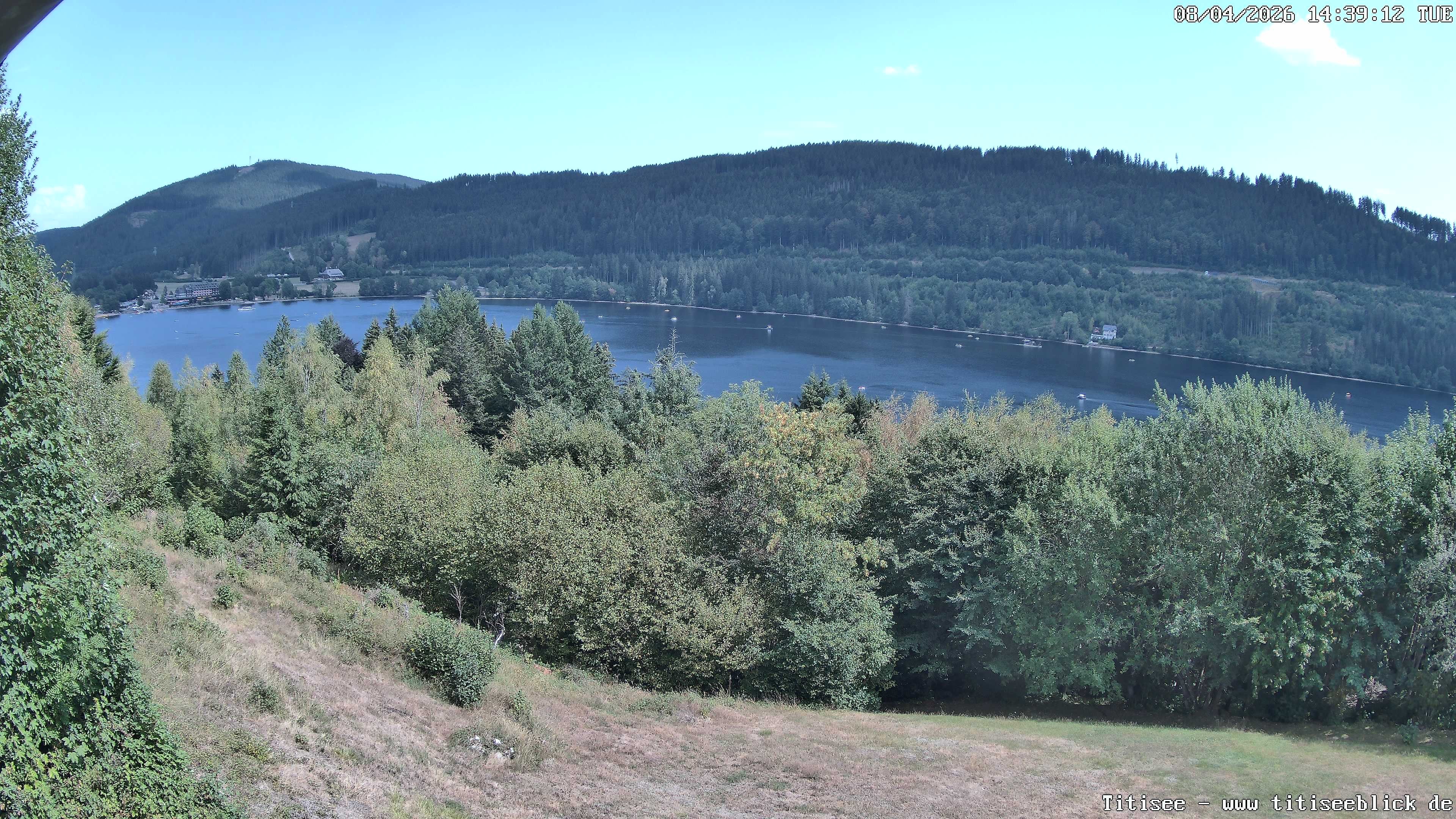 Archiv Foto Webcam Titisee: Westufer