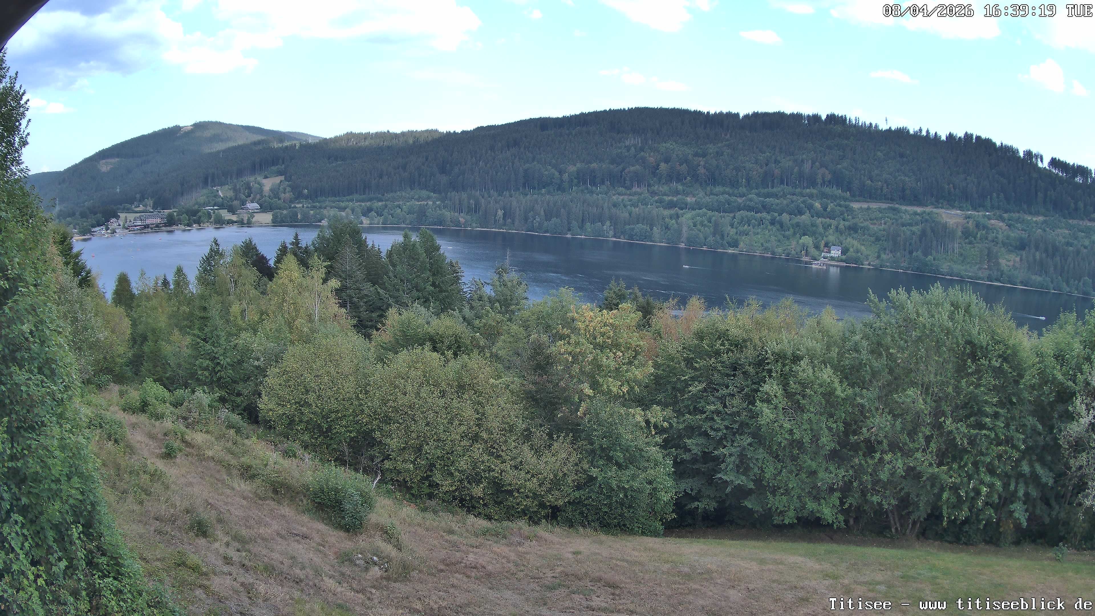 Archiv Foto Webcam Titisee: Westufer
