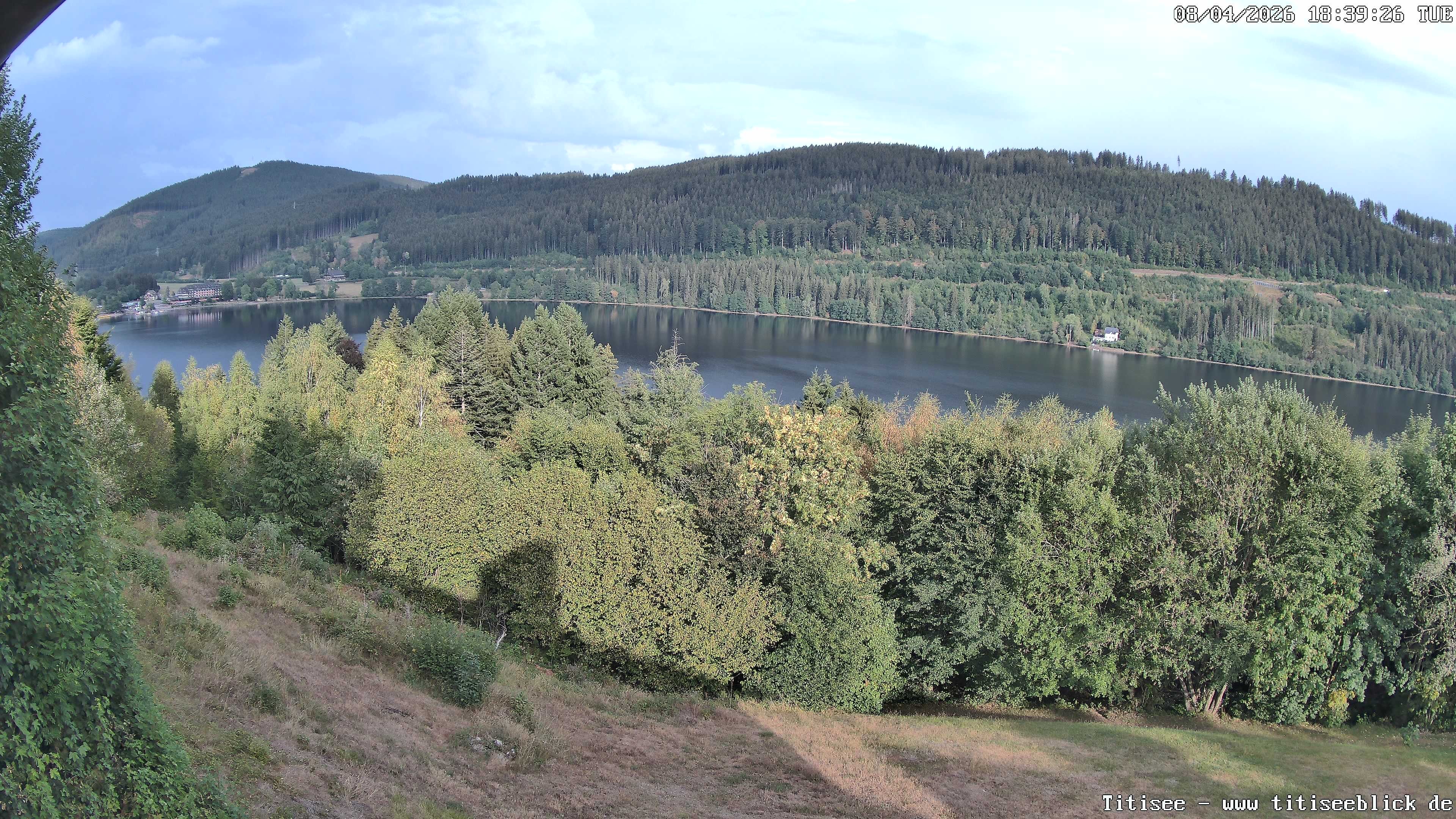 Archiv Foto Webcam Titisee: Westufer