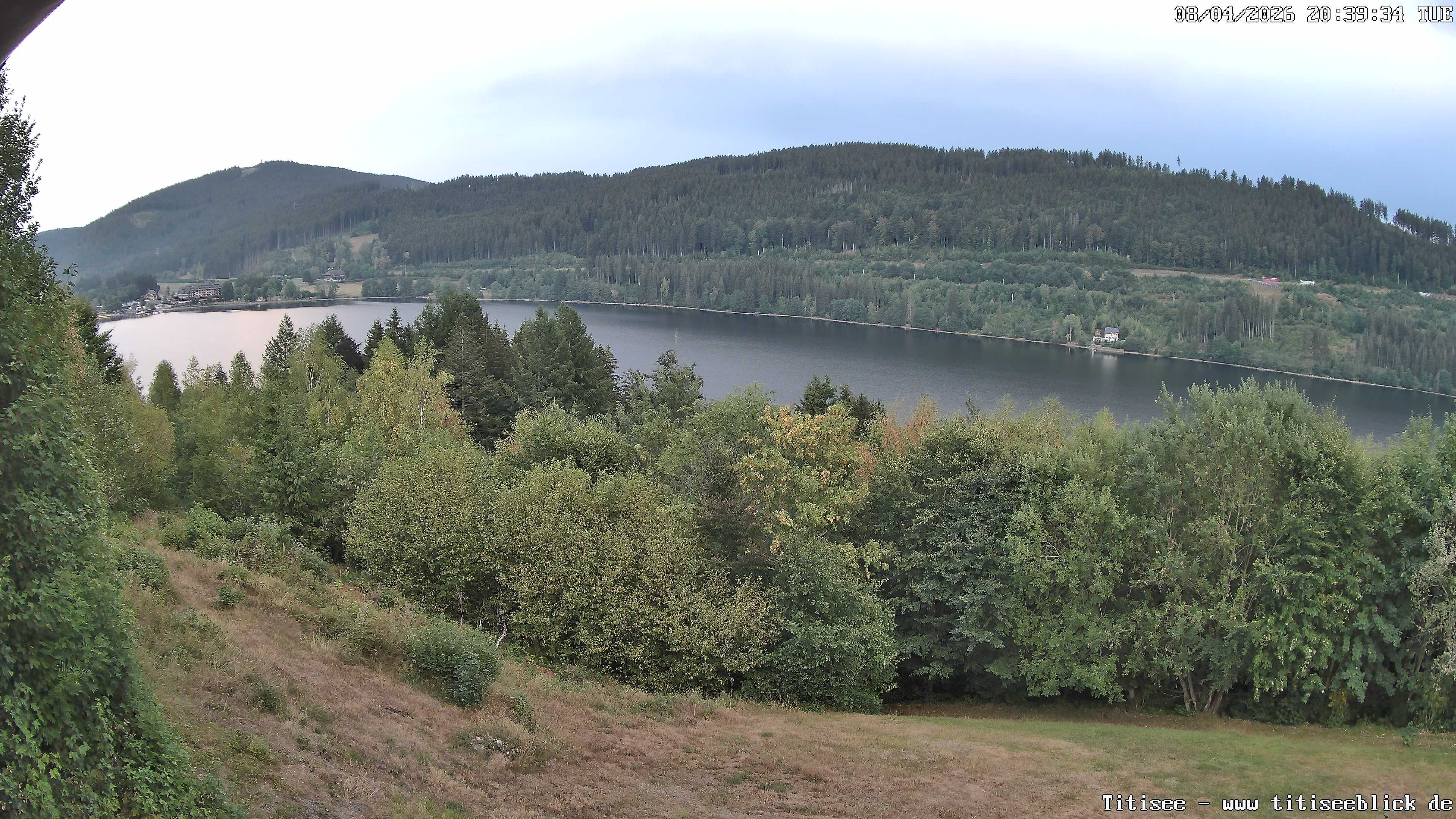 Archiv Foto Webcam Titisee: Westufer
