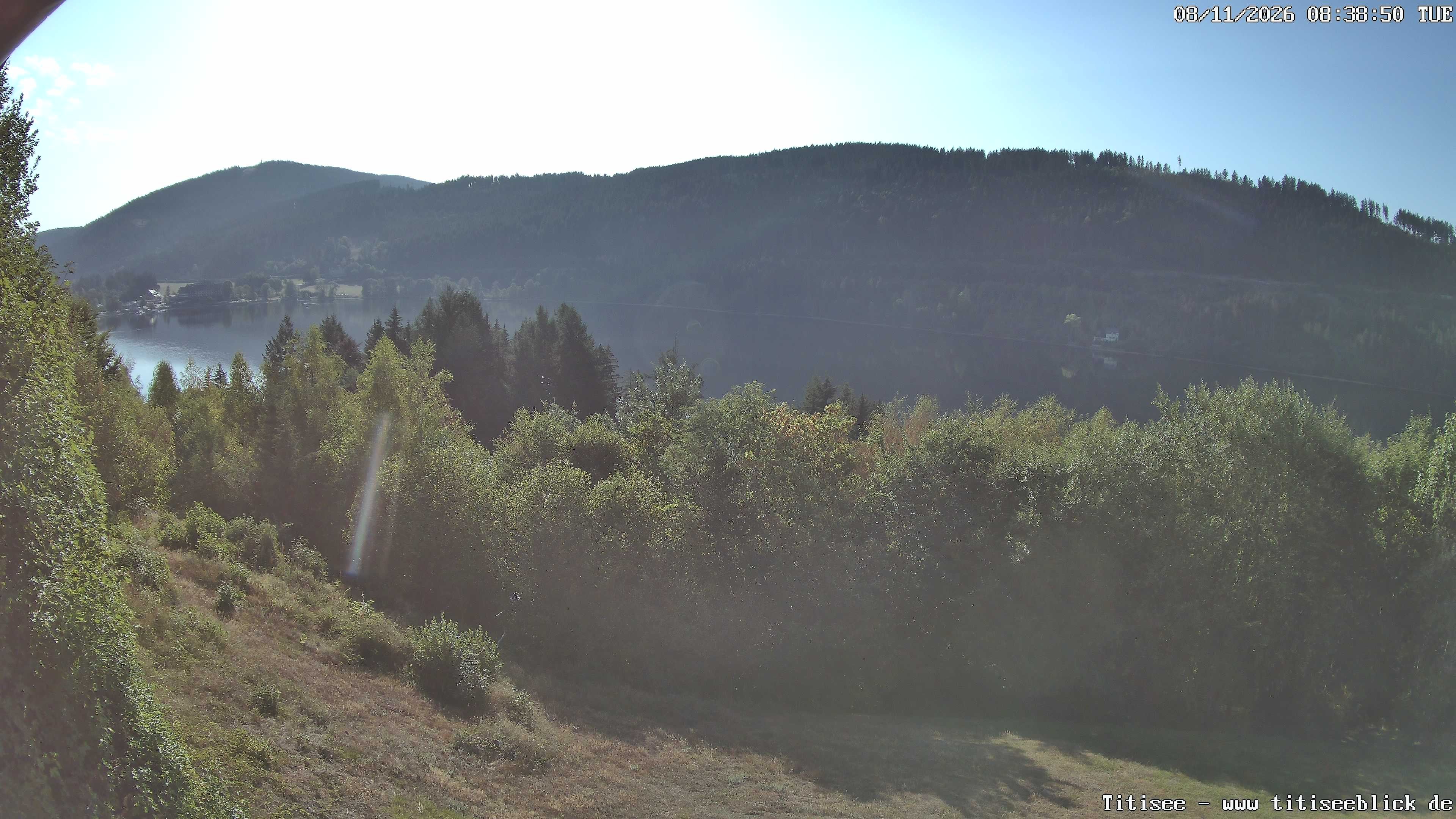 Archiv Foto Webcam Titisee: Westufer