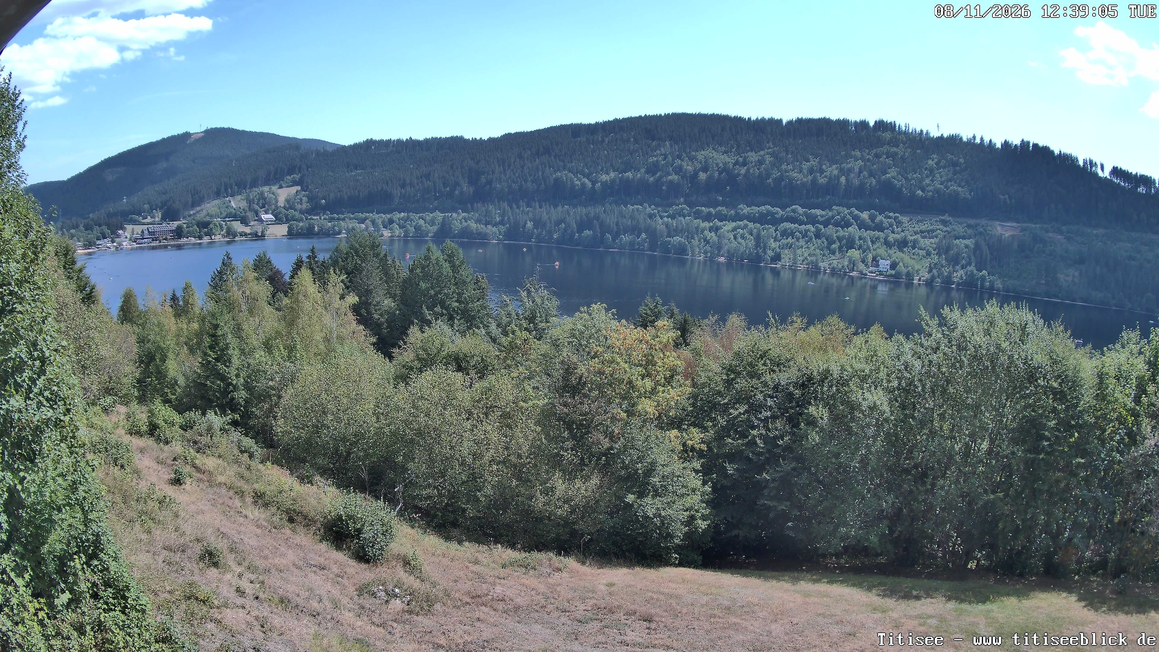 Archiv Foto Webcam Titisee: Westufer