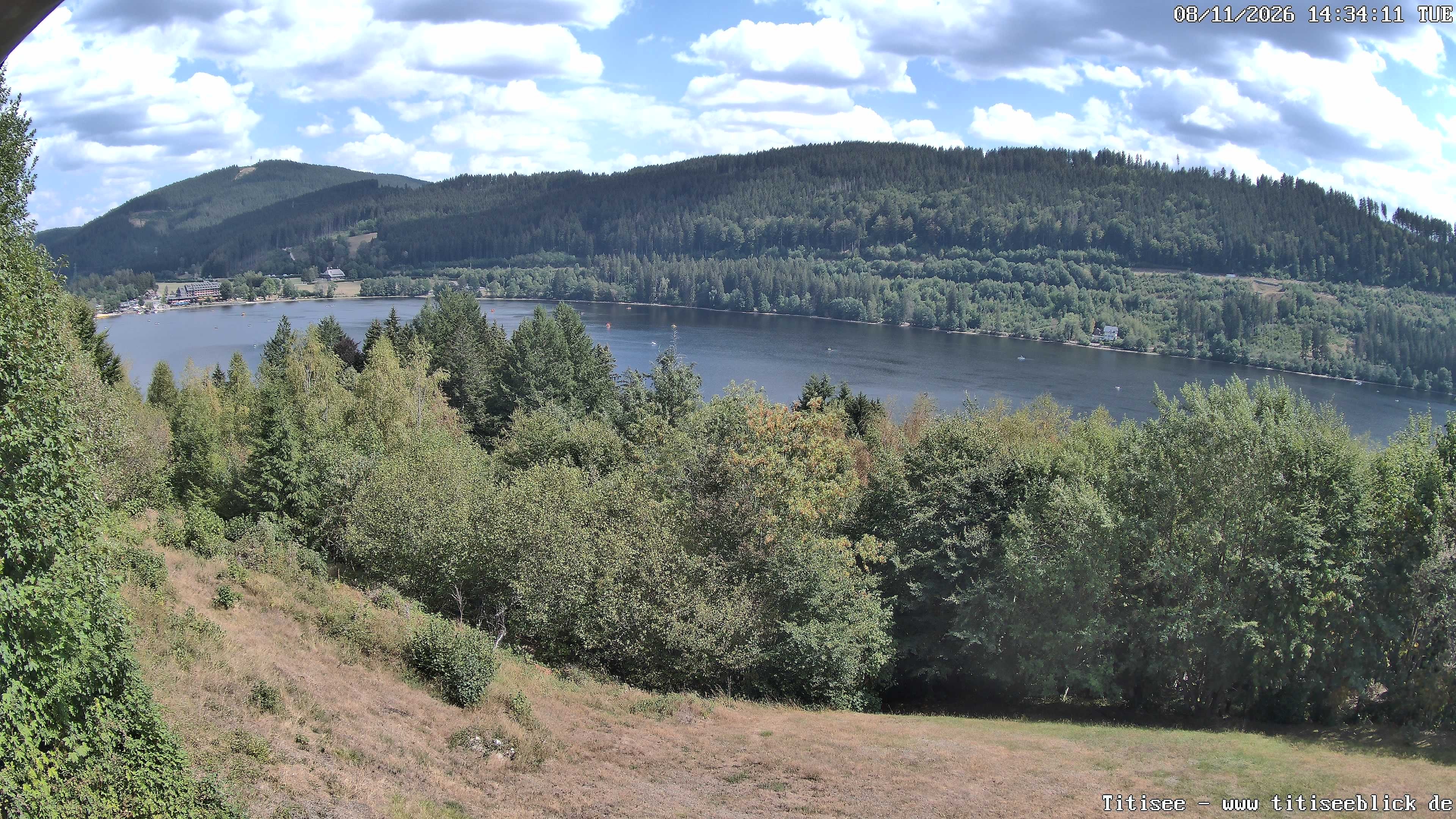 Archiv Foto Webcam Titisee: Westufer