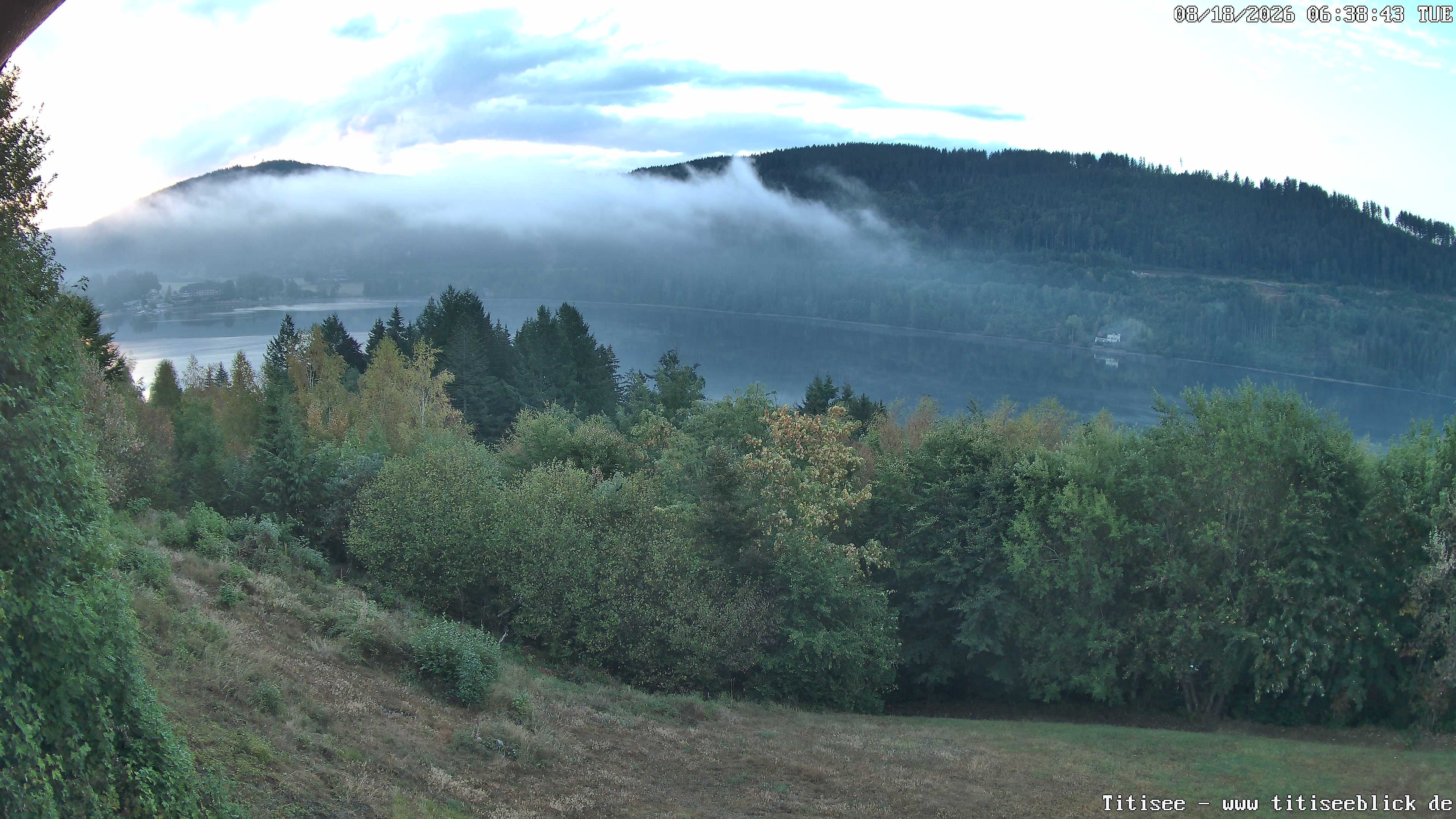 Archiv Foto Webcam Titisee: Westufer