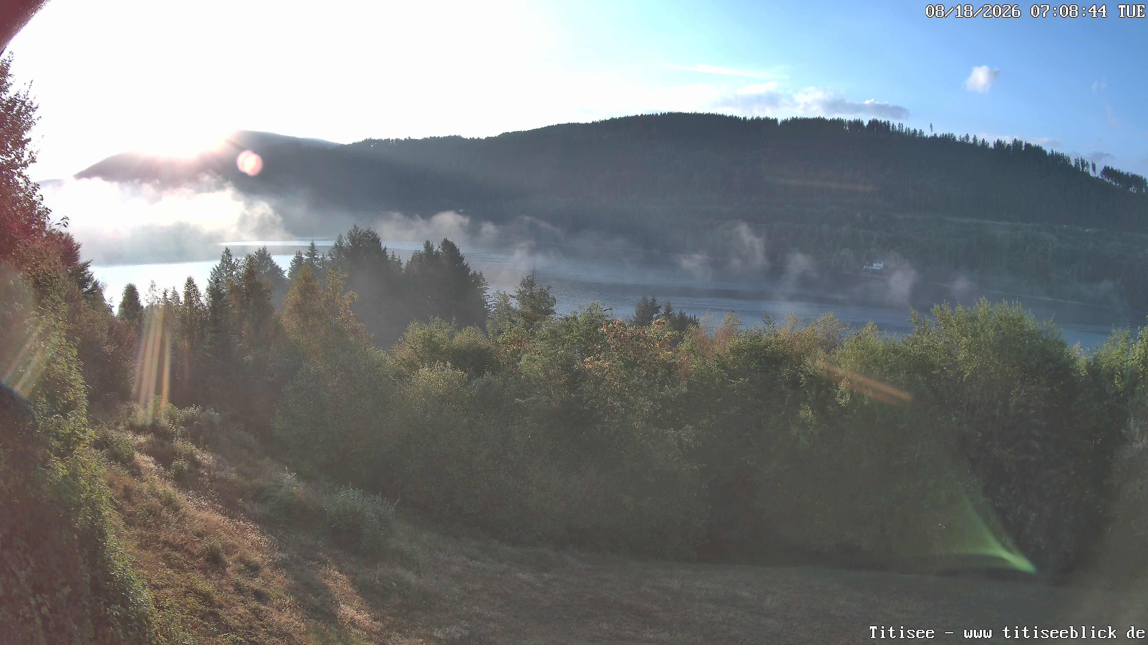 Archiv Foto Webcam Titisee: Westufer