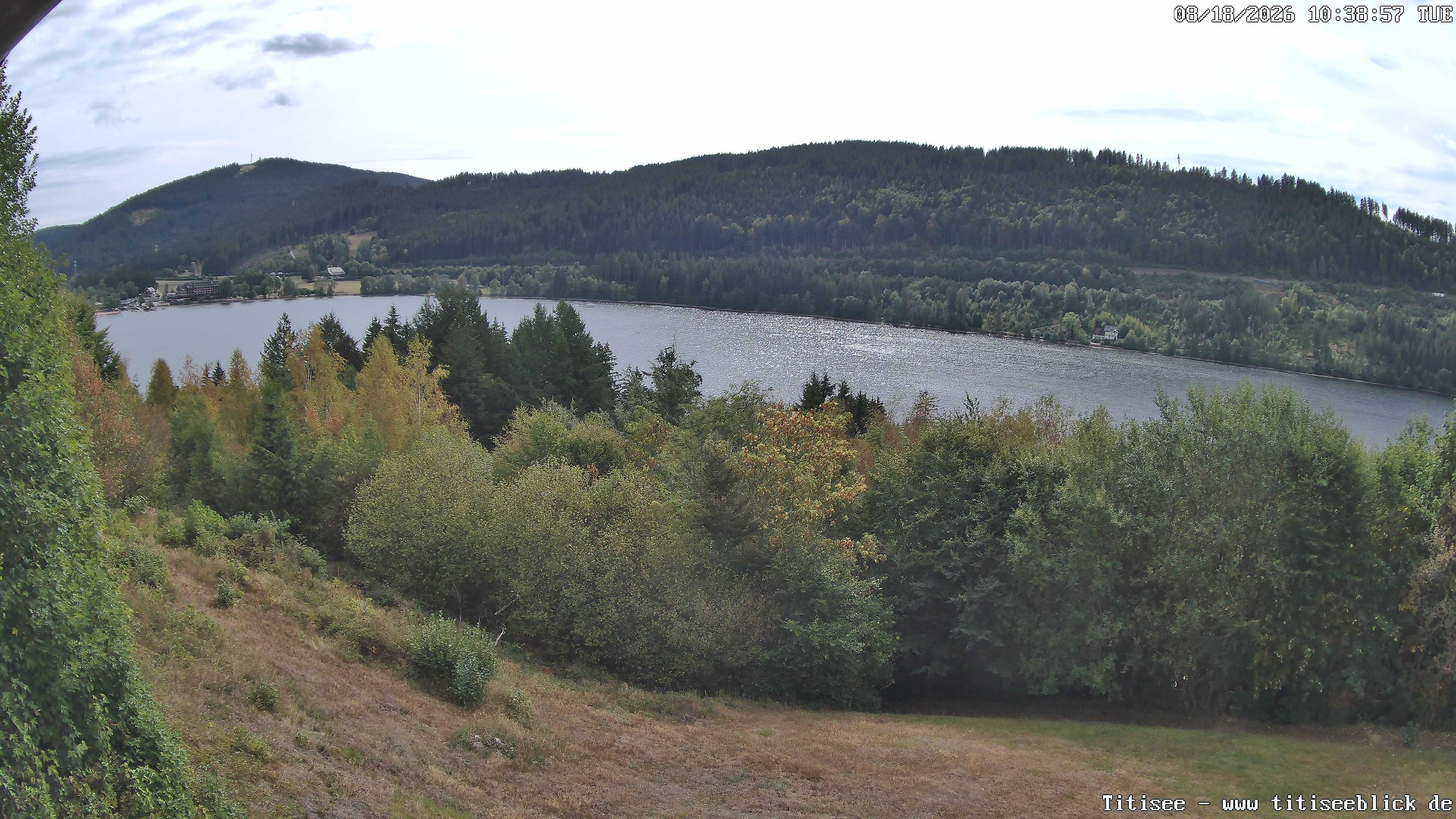 Archiv Foto Webcam Titisee: Westufer