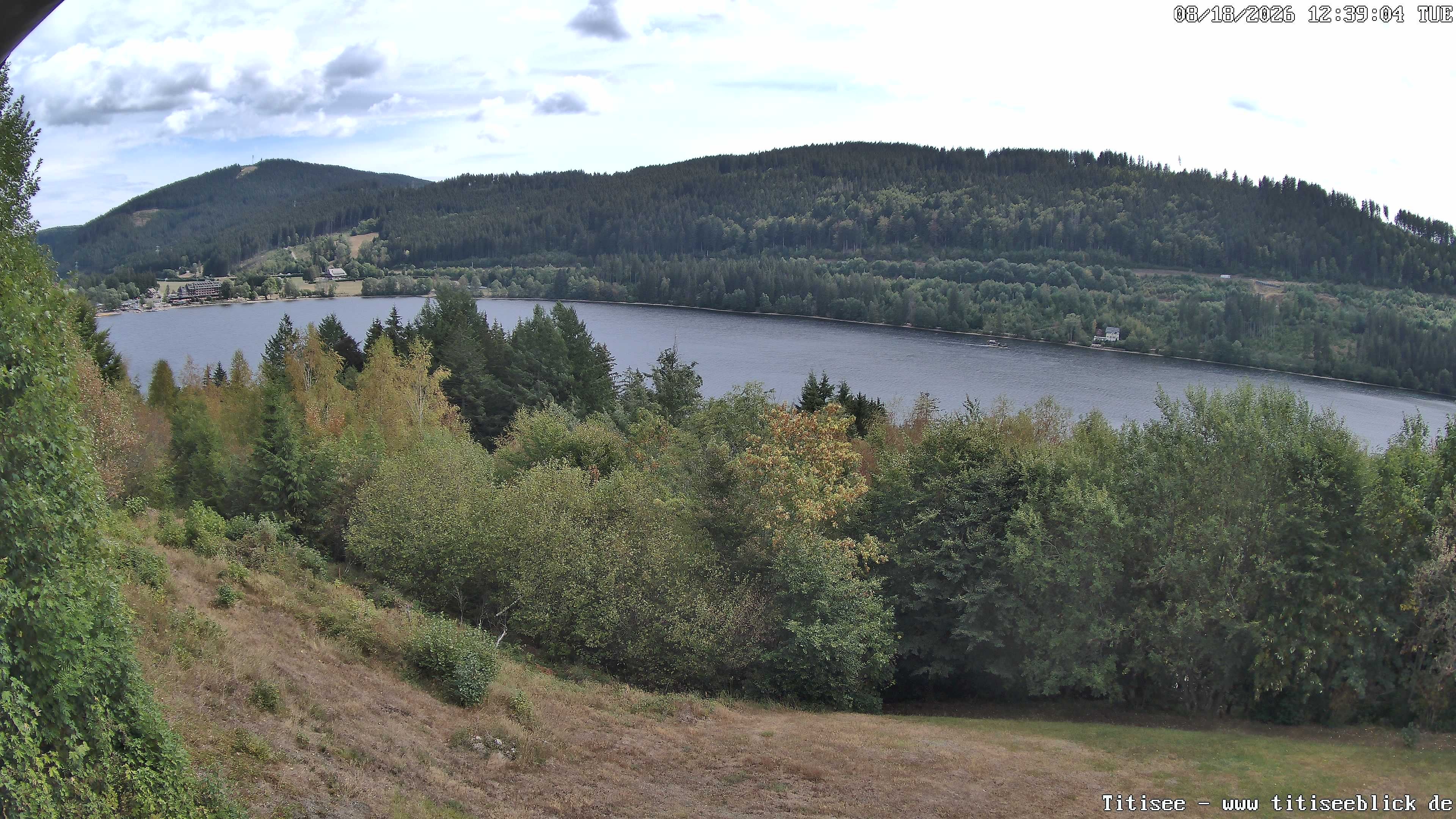 Archiv Foto Webcam Titisee: Westufer
