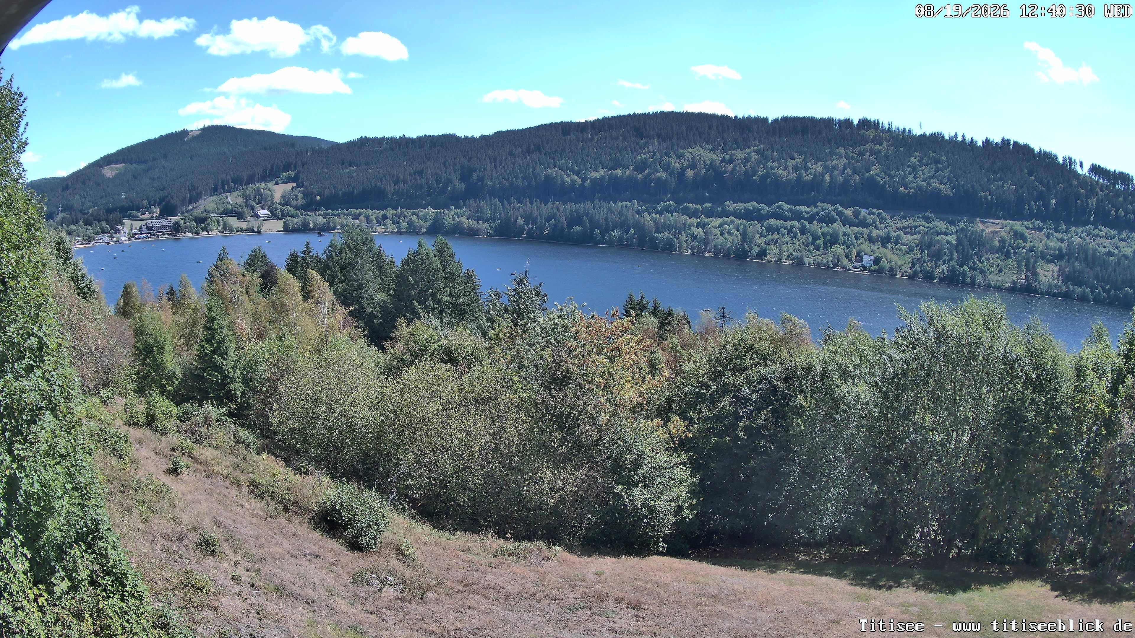 Archiv Foto Webcam Titisee: Westufer