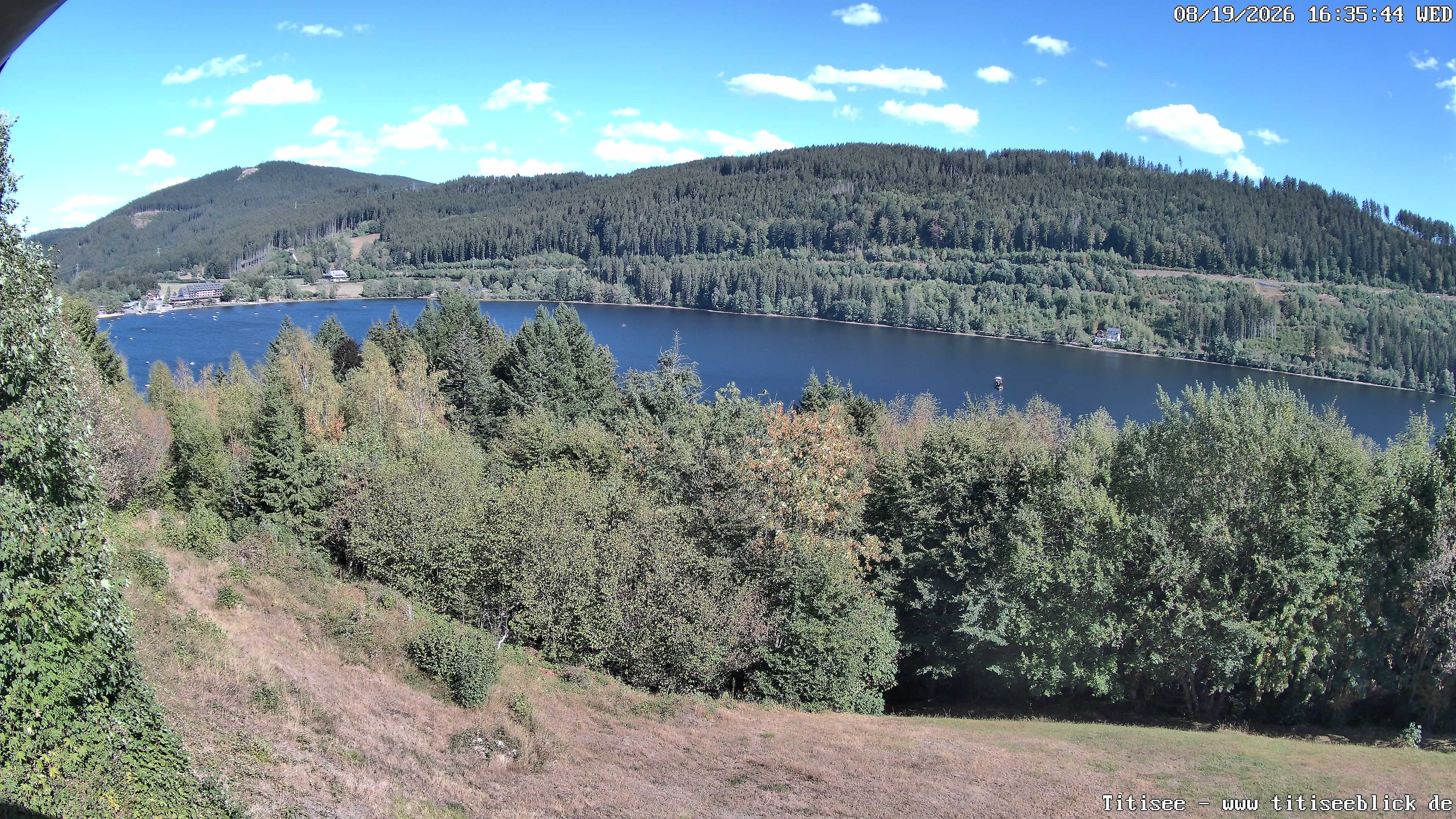 Archiv Foto Webcam Titisee: Westufer