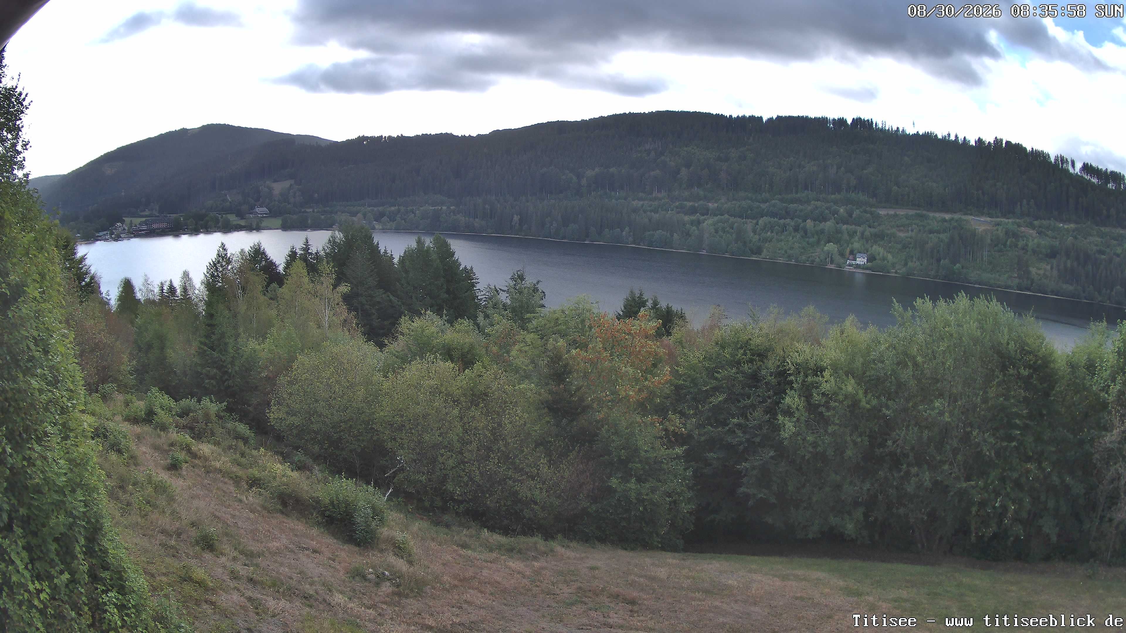 Archiv Foto Webcam Titisee: Westufer