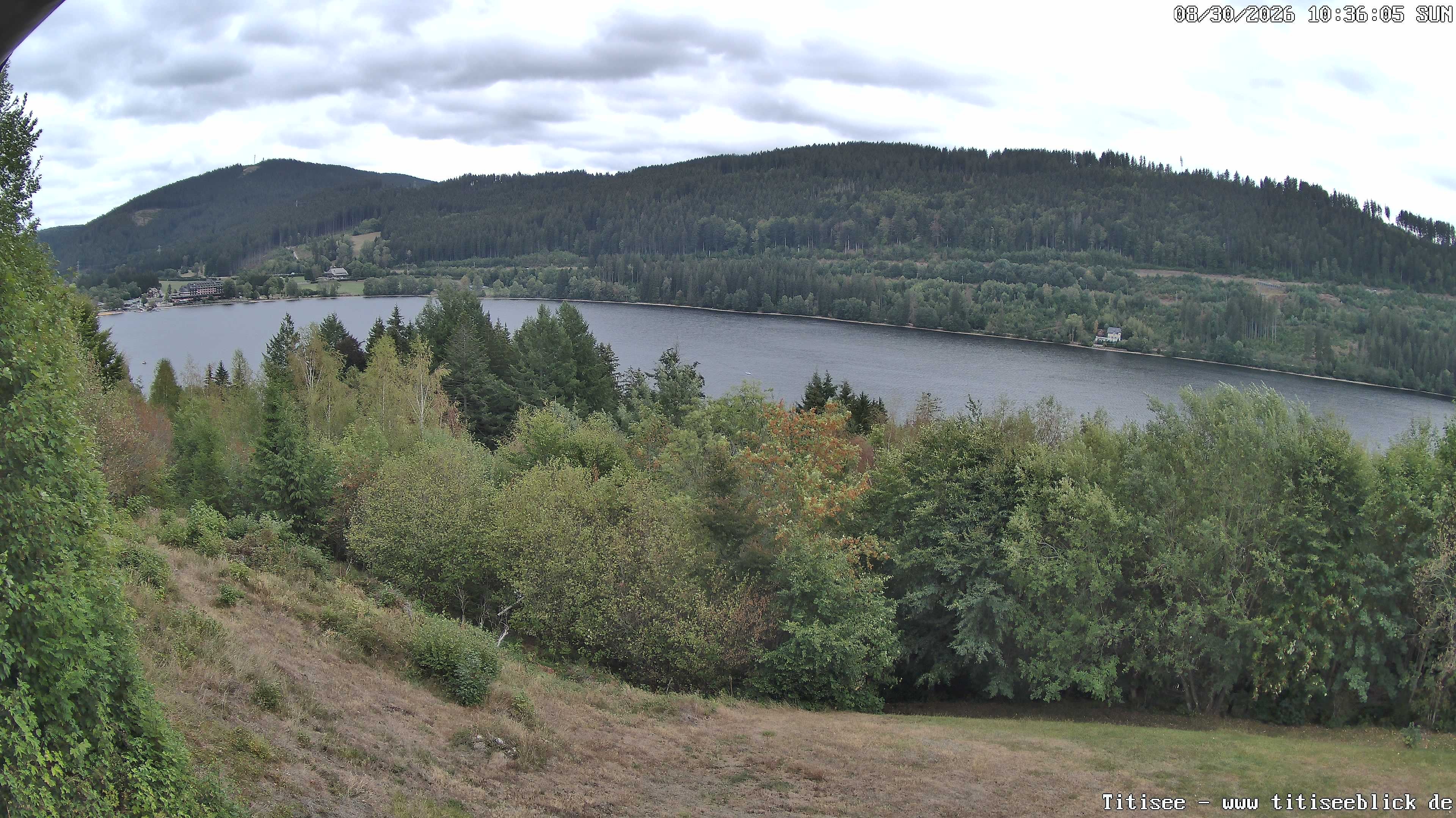 Archiv Foto Webcam Titisee: Westufer