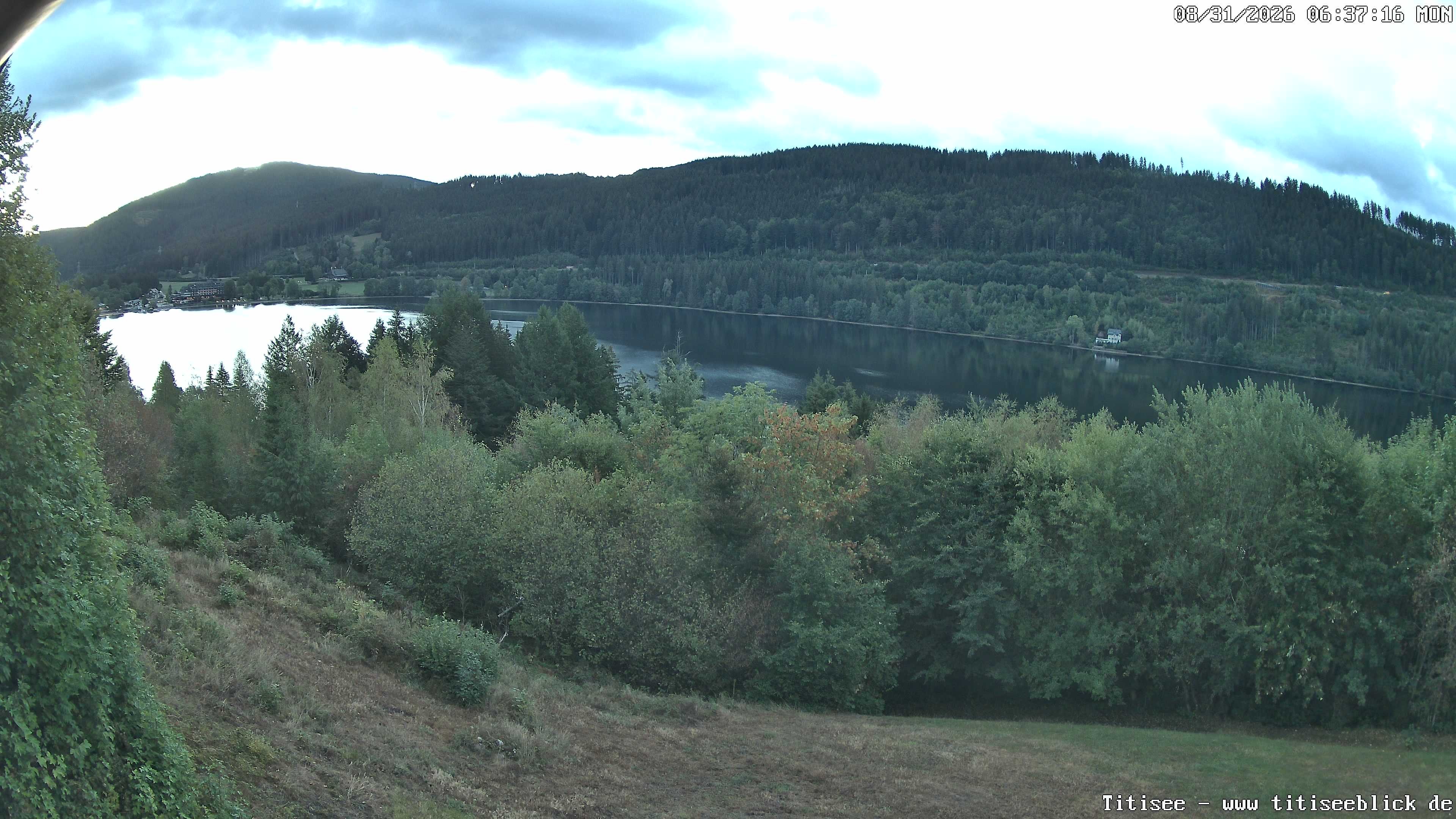 Archiv Foto Webcam Titisee: Westufer