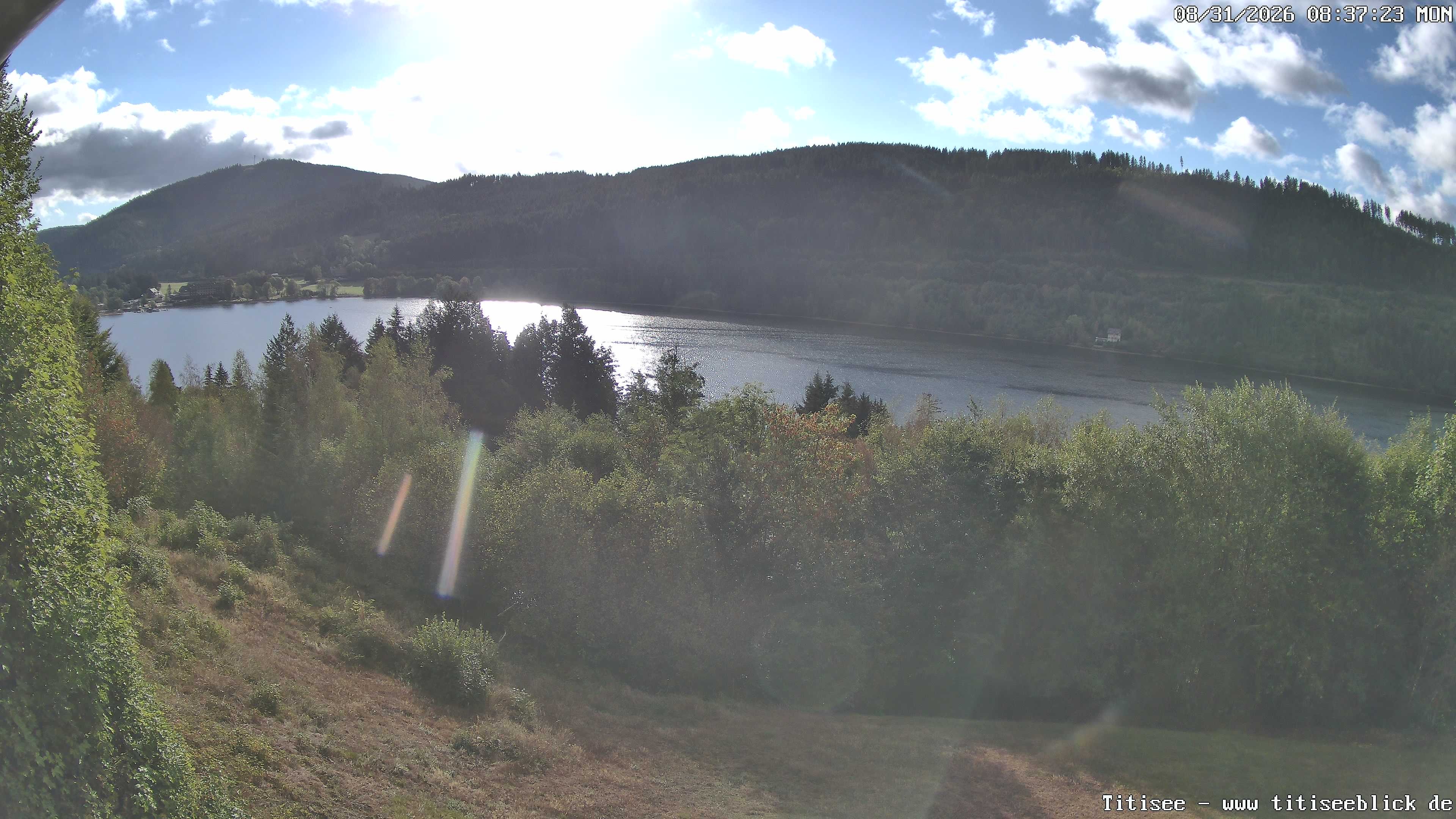 Archiv Foto Webcam Titisee: Westufer