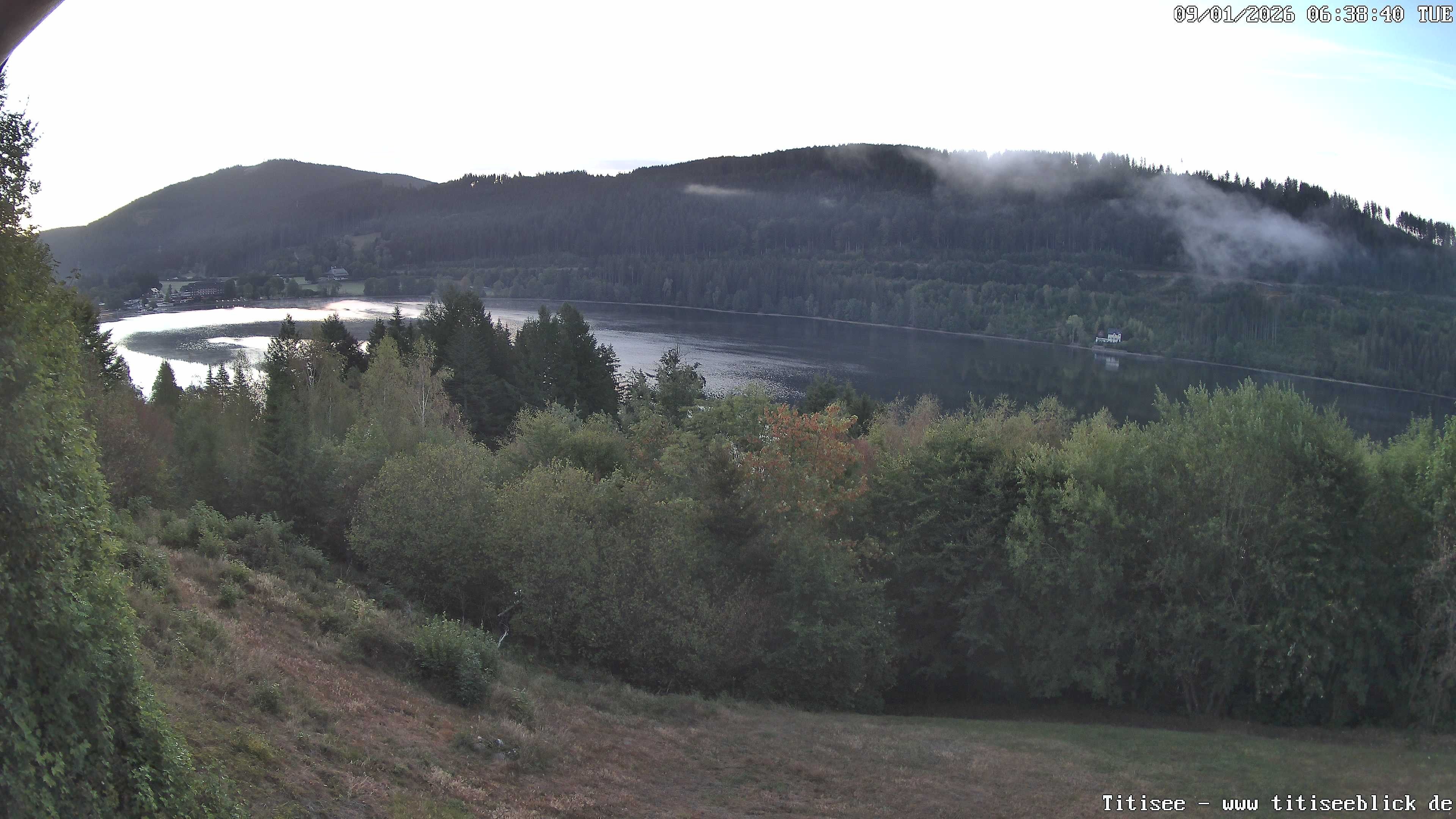 Archiv Foto Webcam Titisee: Westufer
