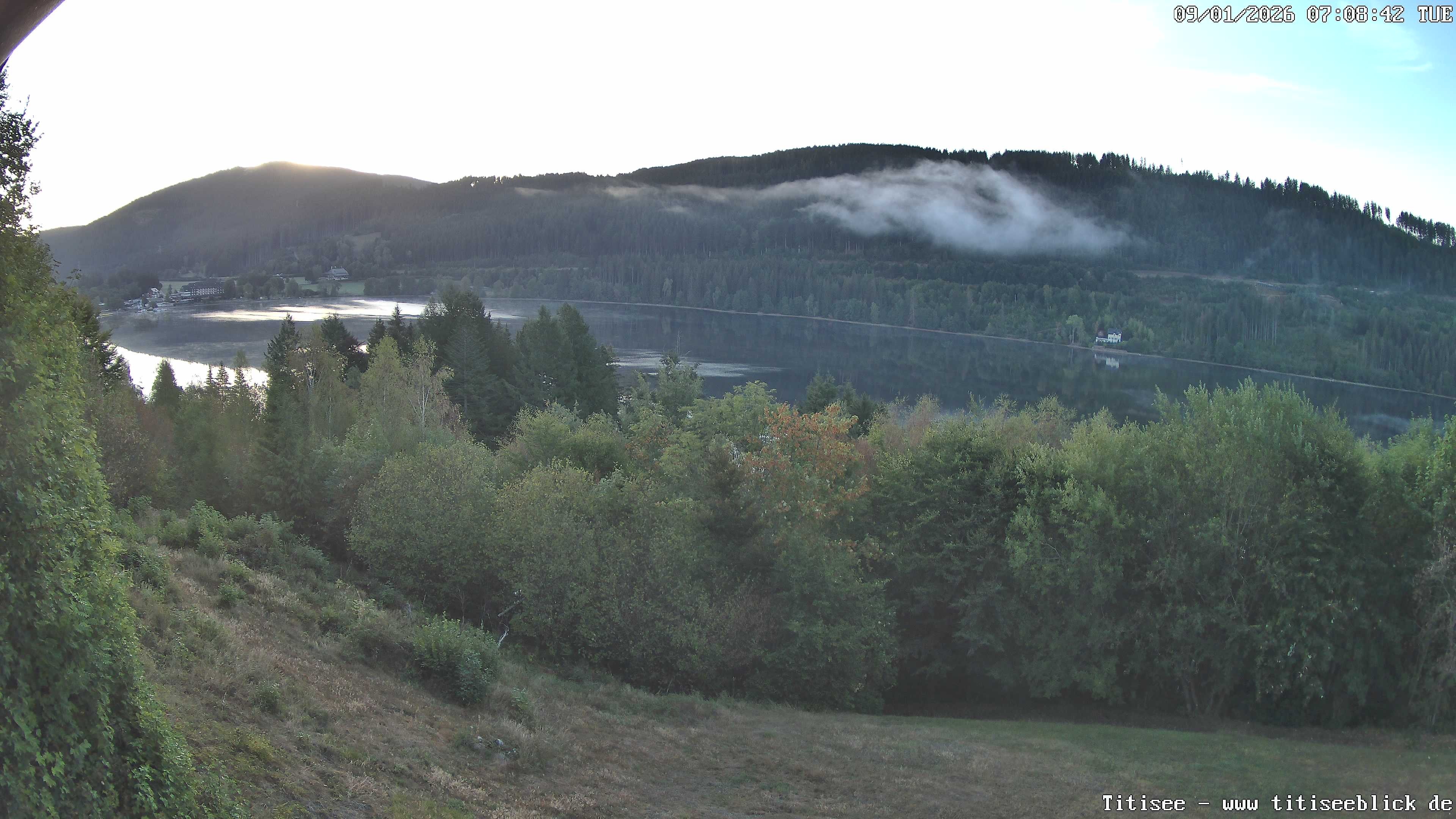 Archiv Foto Webcam Titisee: Westufer