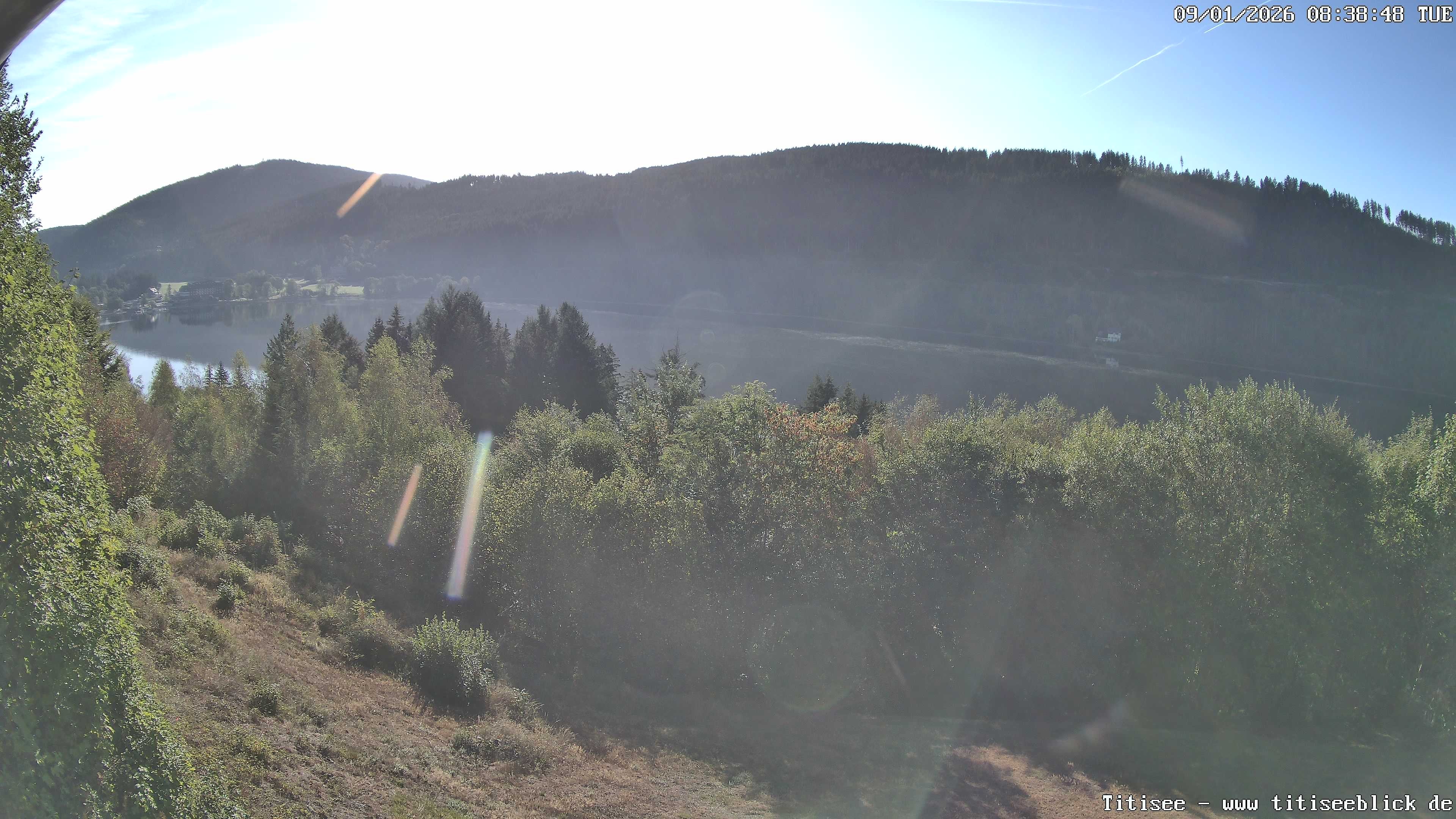 Archiv Foto Webcam Titisee: Westufer