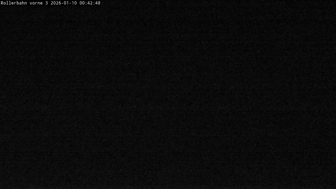 Archived image Webcam Willingen - View Roller Ski in Biathlon Arena