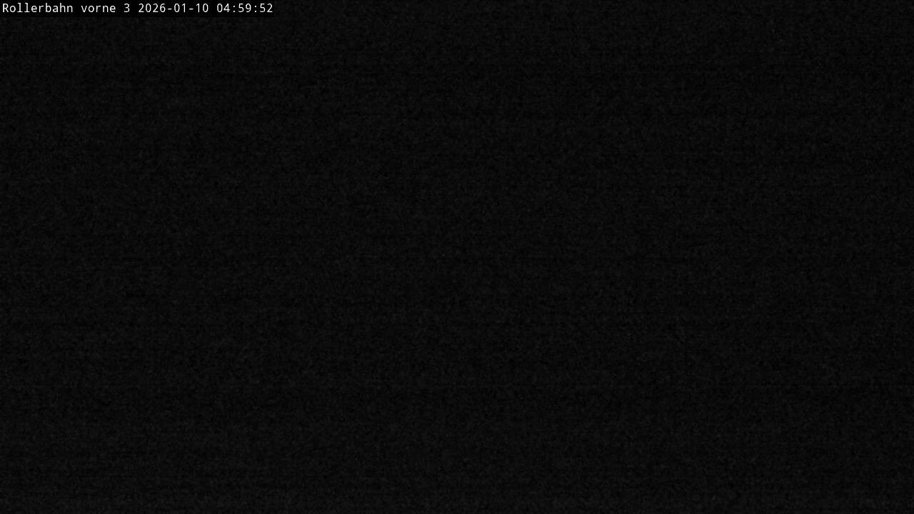 Archived image Webcam Willingen - View Roller Ski in Biathlon Arena