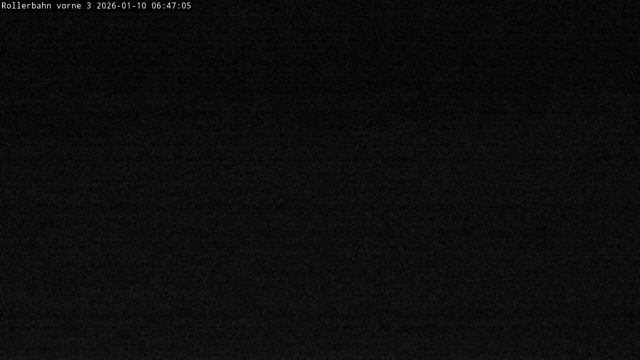 Archived image Webcam Willingen - View Roller Ski in Biathlon Arena