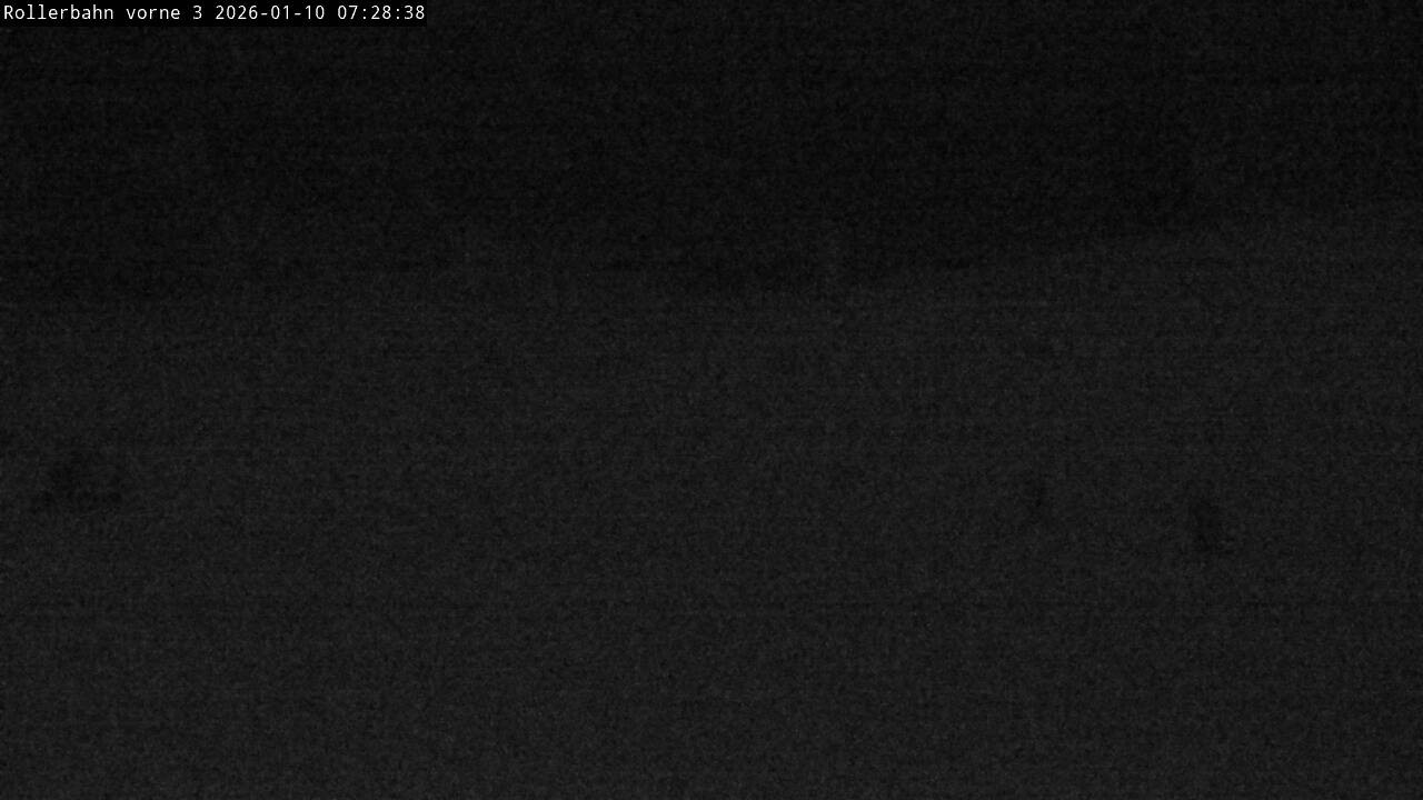 Archived image Webcam Willingen - View Roller Ski in Biathlon Arena