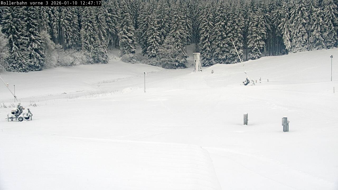 Archived image Webcam Willingen - View Roller Ski in Biathlon Arena