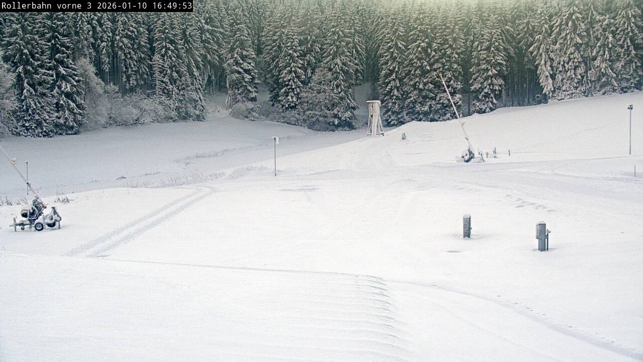 Archived image Webcam Willingen - View Roller Ski in Biathlon Arena