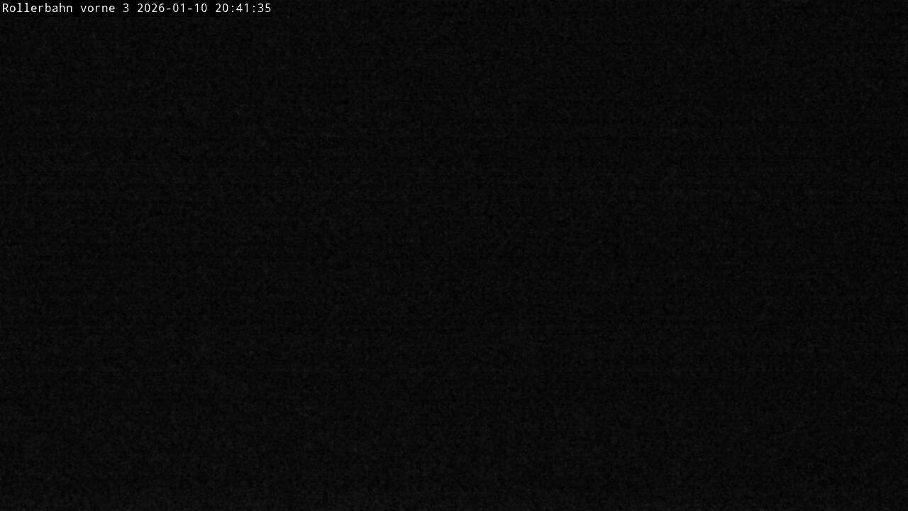 Archived image Webcam Willingen - View Roller Ski in Biathlon Arena