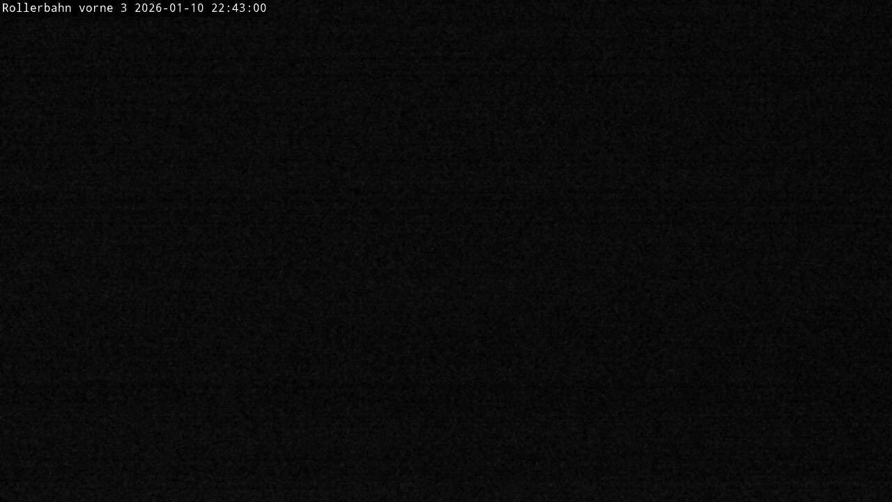 Archived image Webcam Willingen - View Roller Ski in Biathlon Arena