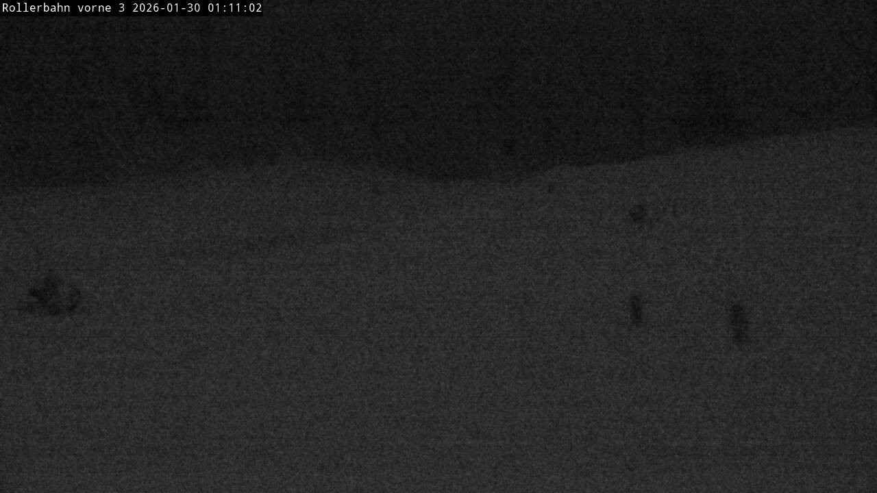 Archiv Foto Webcam Willingen - Blick Rollerbahn der Biathlon Arena