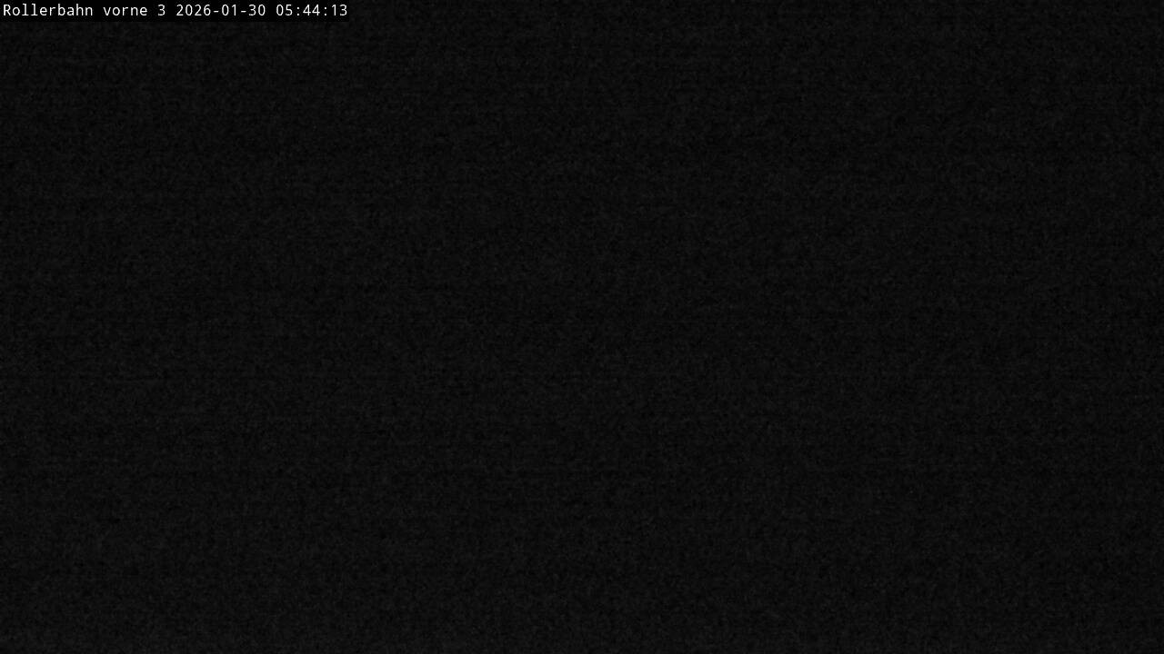 Archiv Foto Webcam Willingen - Blick Rollerbahn der Biathlon Arena