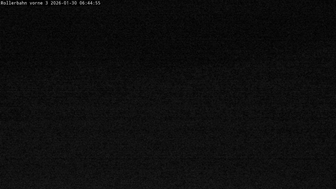 Archiv Foto Webcam Willingen - Blick Rollerbahn der Biathlon Arena