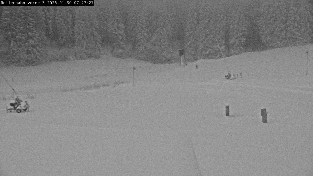 Archiv Foto Webcam Willingen - Blick Rollerbahn der Biathlon Arena