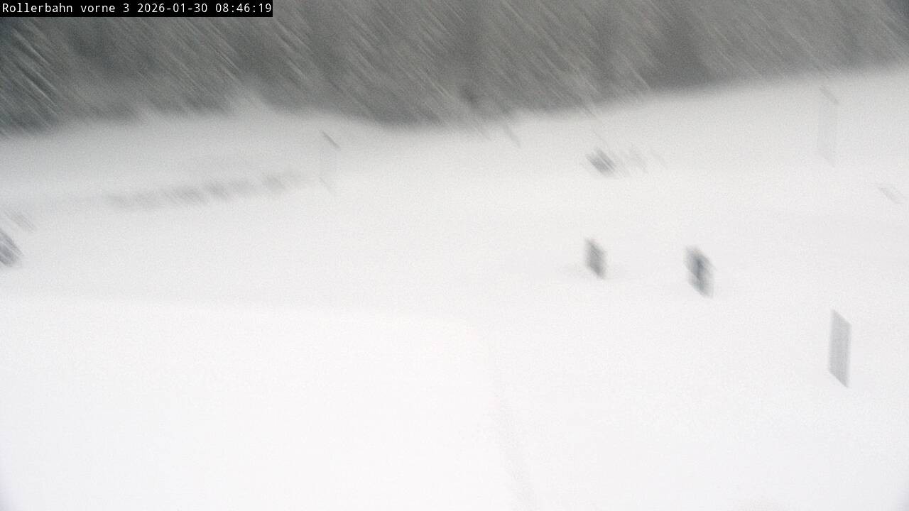 Archiv Foto Webcam Willingen - Blick Rollerbahn der Biathlon Arena