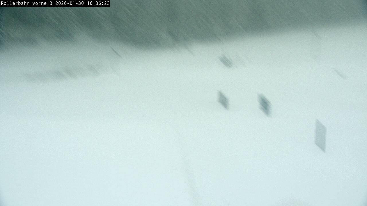 Archiv Foto Webcam Willingen - Blick Rollerbahn der Biathlon Arena