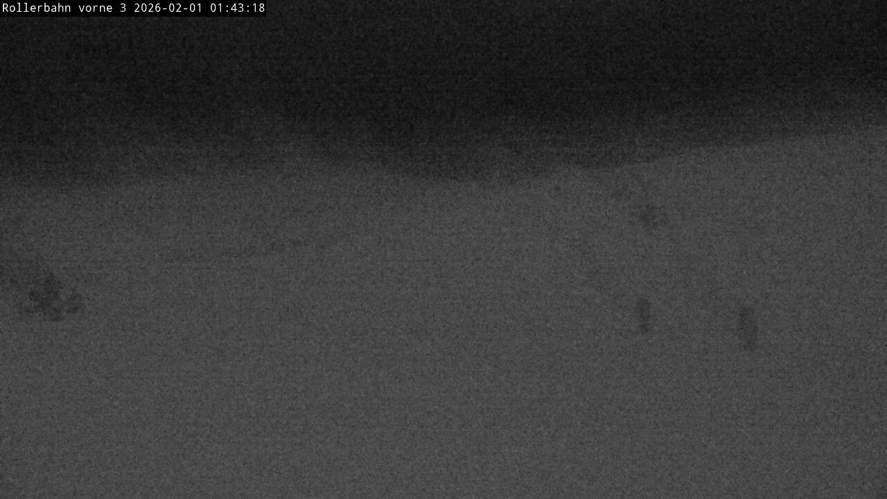 Archiv Foto Webcam Willingen - Blick Rollerbahn der Biathlon Arena