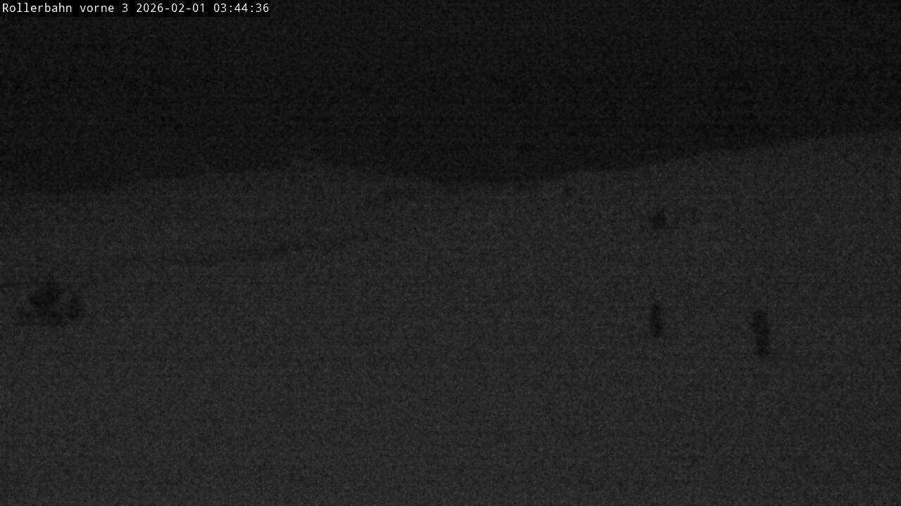 Archiv Foto Webcam Willingen - Blick Rollerbahn der Biathlon Arena