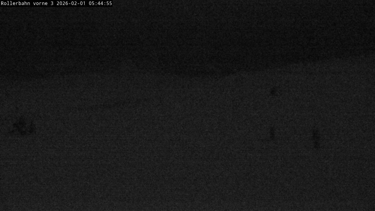 Archiv Foto Webcam Willingen - Blick Rollerbahn der Biathlon Arena