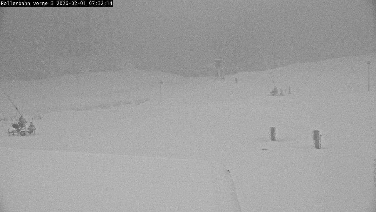 Archiv Foto Webcam Willingen - Blick Rollerbahn der Biathlon Arena